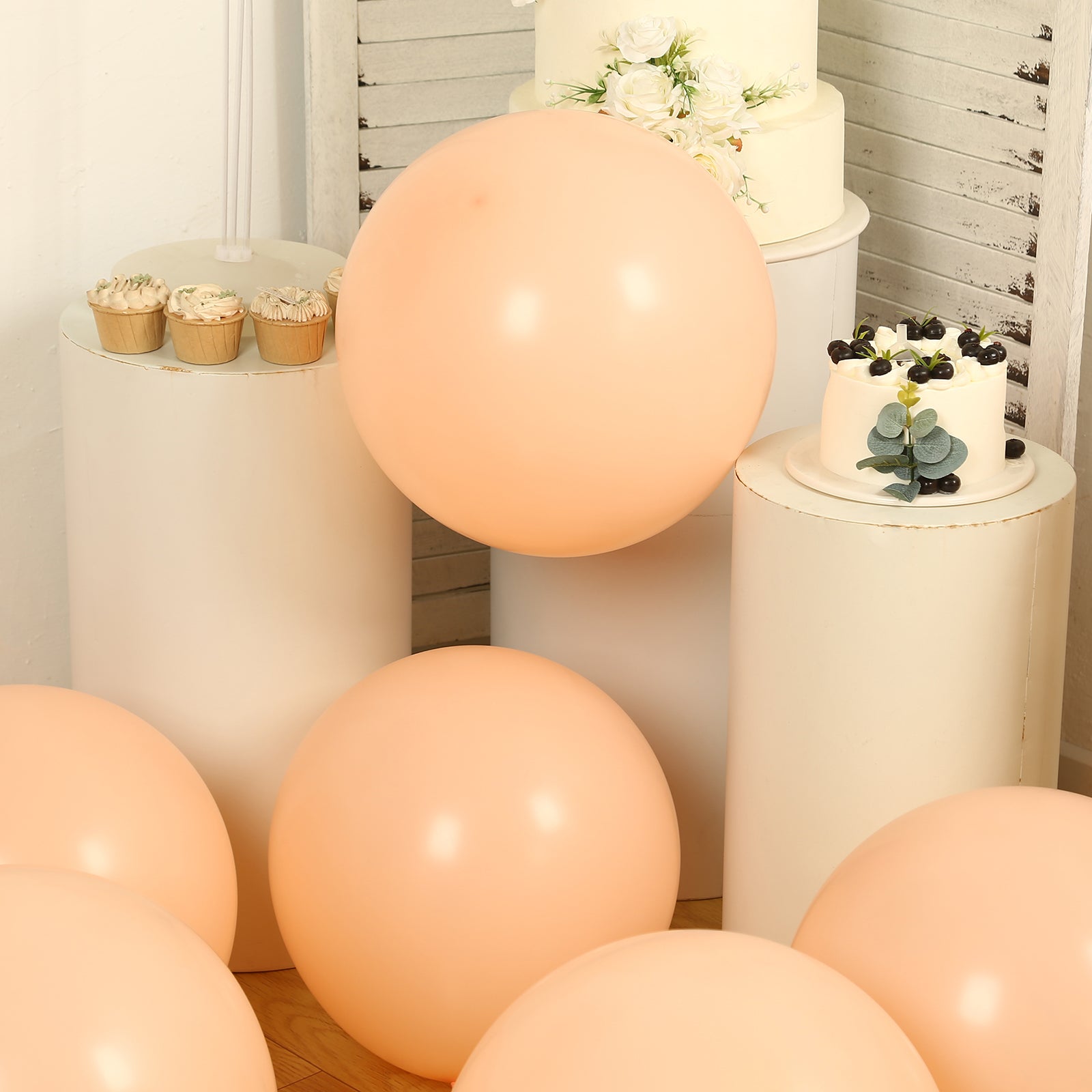 10 Pack Matte Pastel Blush Biodegradable Balloons 18, Round Eco-friendly Thick Latex Party Balloons