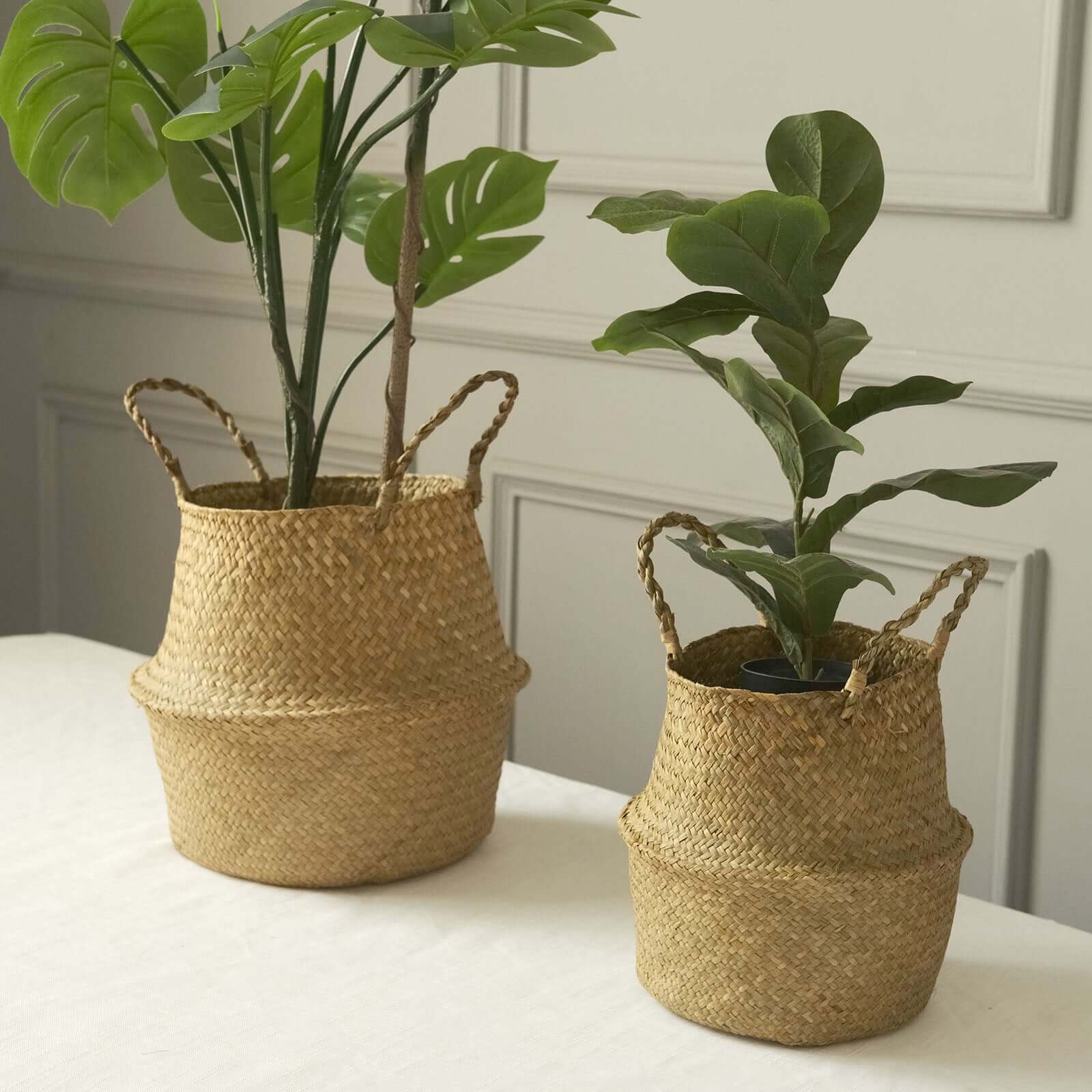 Set of 2 Woven Seagrass Plant Belly Baskets - Natural Handcrafted Braided Storage Wicker Bin Planter with Handles for Living Room Closet & Kitchen Organization