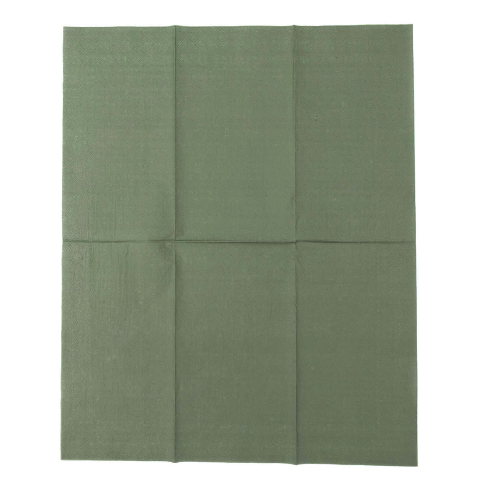 50-Pack Paper Napkins Soft Olive Green - Disposable 2-Ply Cocktail and Beverage Napkins for Weddings