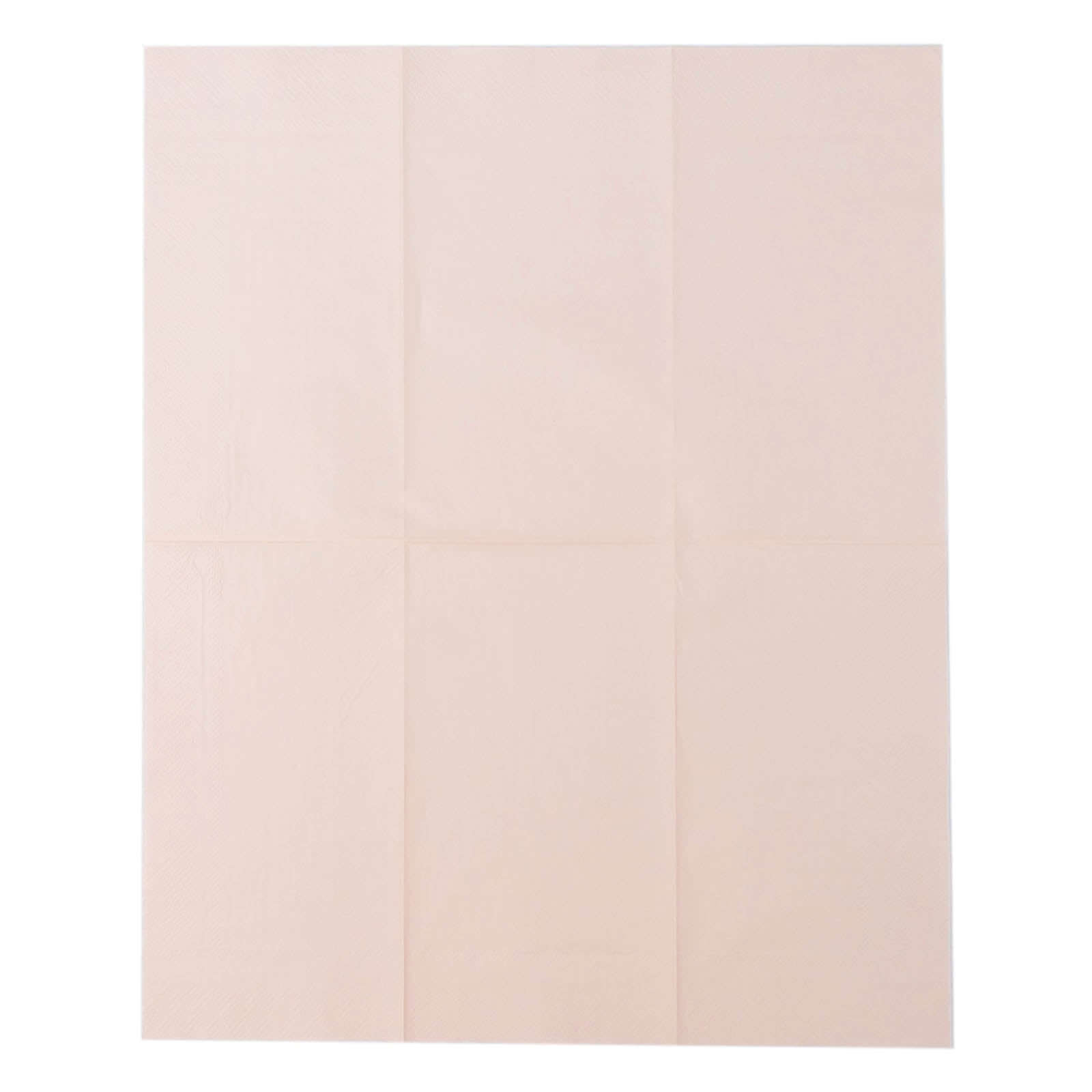 50-Pack Paper Napkins Soft Blush - Disposable 2-Ply Cocktail and Beverage Napkins for Weddings