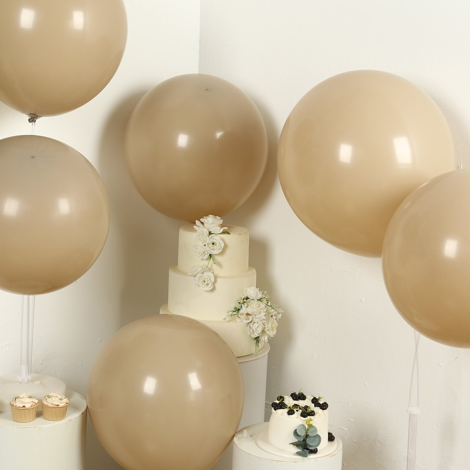 10 Pack Matte Pastel Taupe Biodegradable Balloons 18, Round Eco-friendly Thick Latex Party Balloons