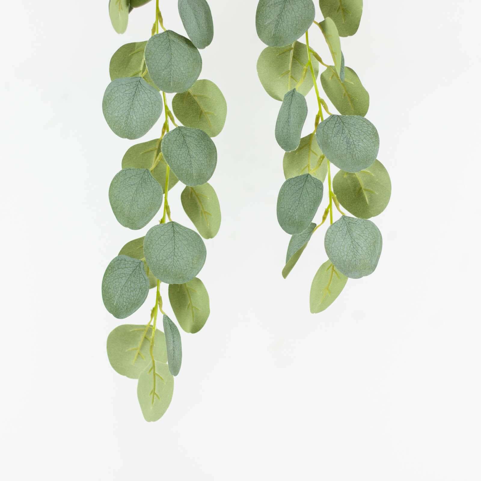 3 Pack 41 Green Real Touch Hanging Silk Silver Dollar Leaf Plant Stems, Artificial Indoor Eucalyptus Sprays