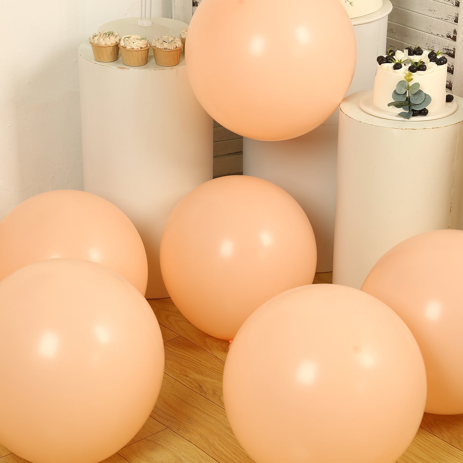 10 Pack Matte Pastel Blush Biodegradable Balloons 18, Round Eco-friendly Thick Latex Party Balloons