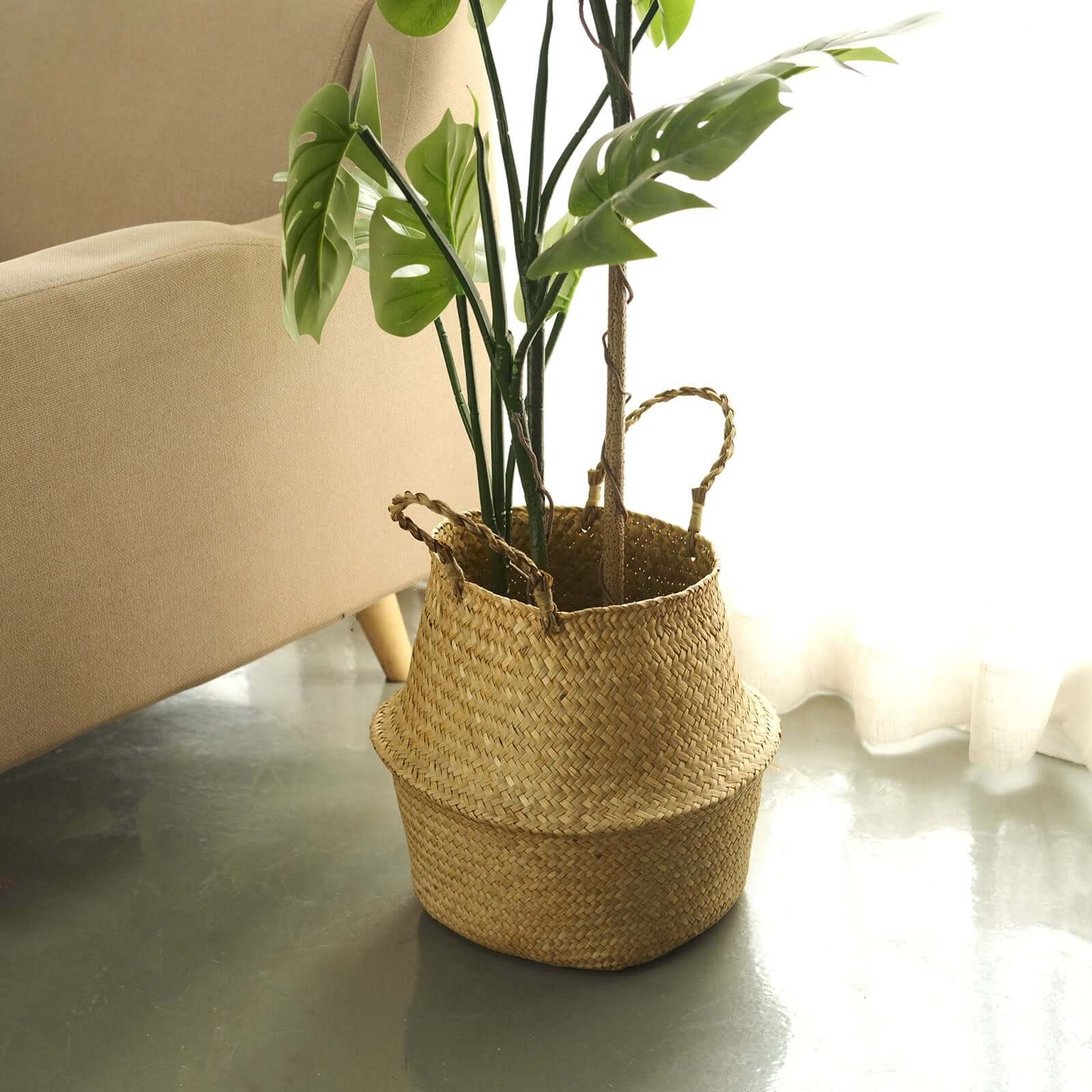 Set of 2 Woven Seagrass Plant Belly Baskets - Natural Handcrafted Braided Storage Wicker Bin Planter with Handles for Living Room Closet & Kitchen Organization