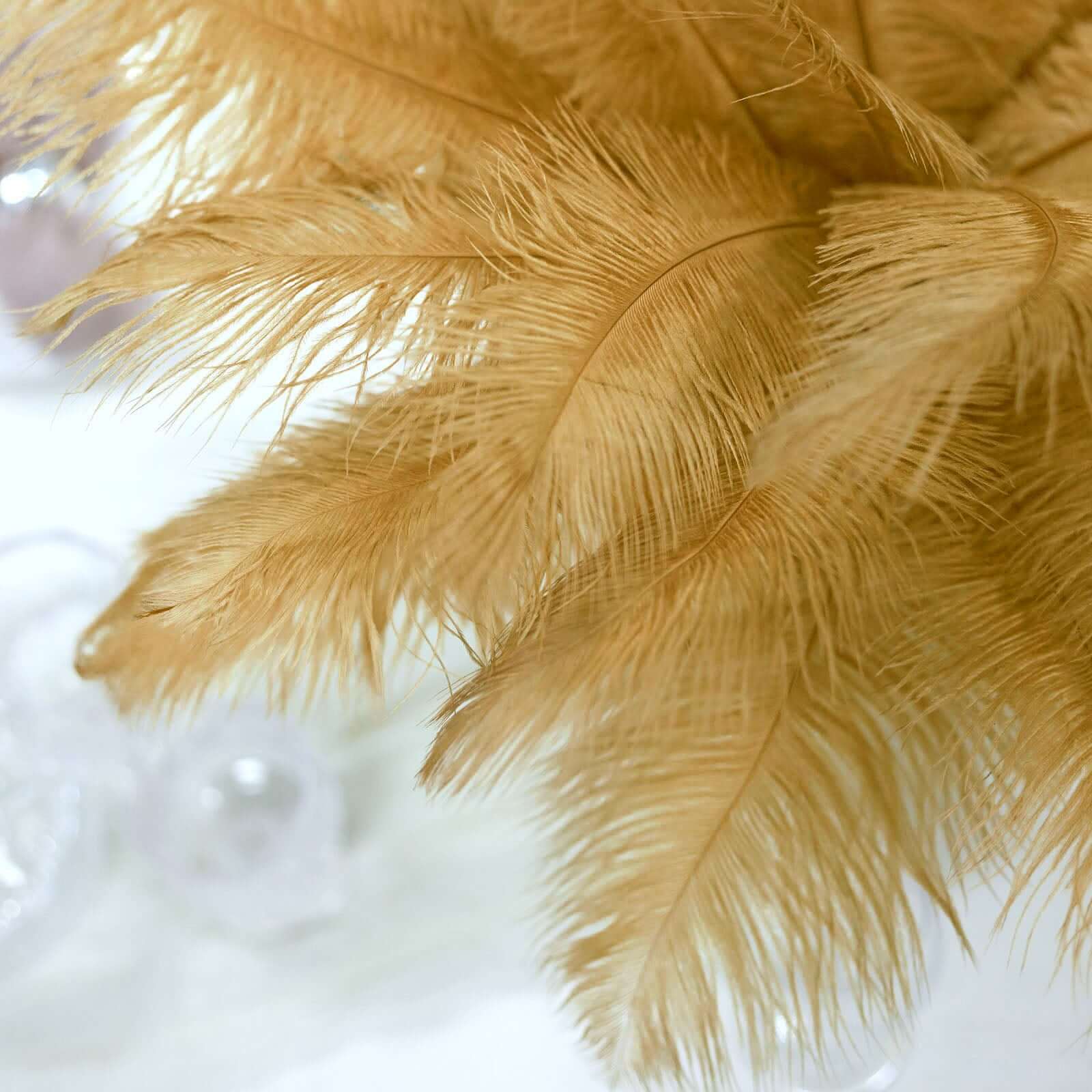 12 Pack 13-15 Gold Natural Plume Real Ostrich Feathers, DIY Centerpiece Fillers