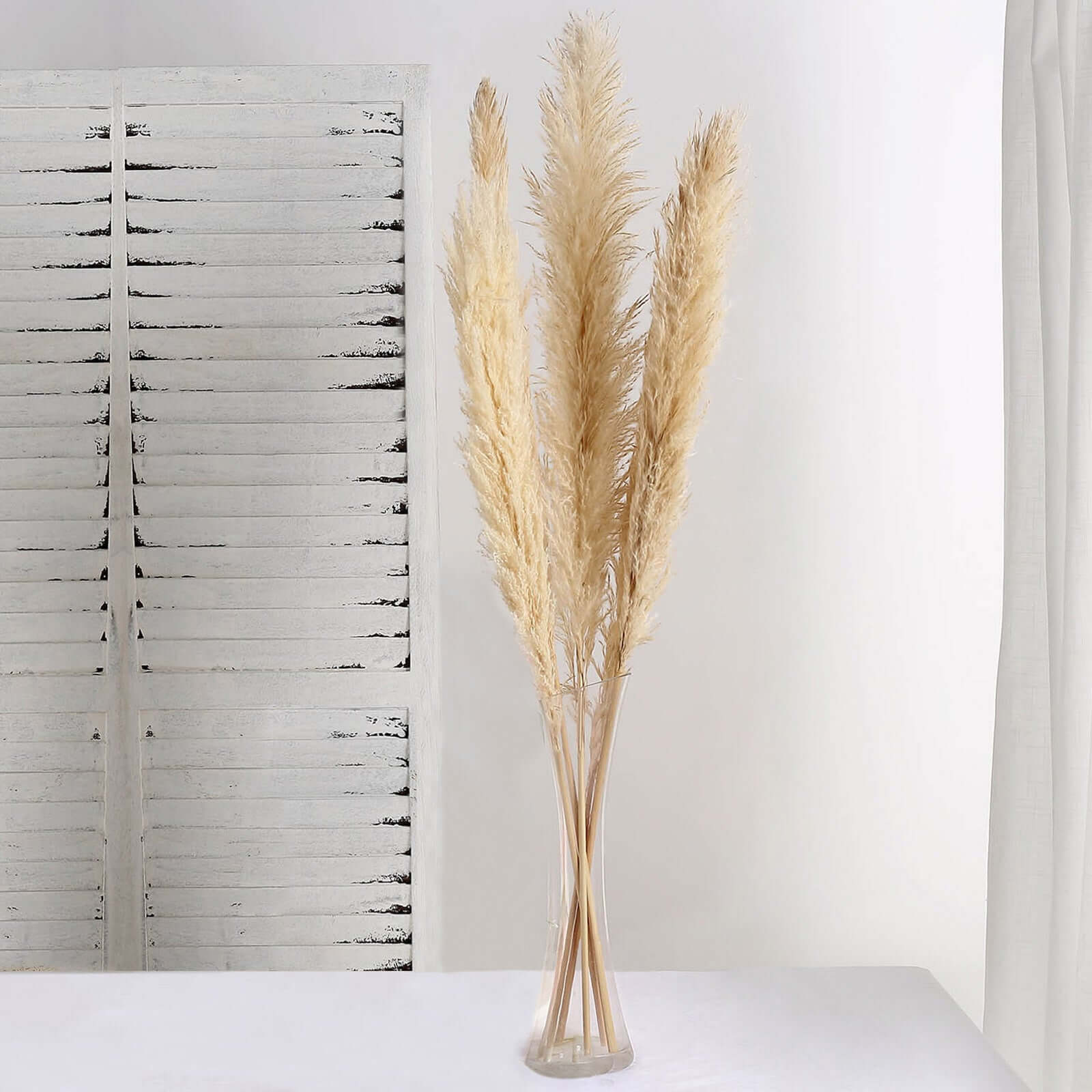 6 Stems Natural Dried Pampas Grass Decor Wheat Tint - Tall Plant Sprays for Boho Chic Vase Displays Backdrops & Event Styling 49