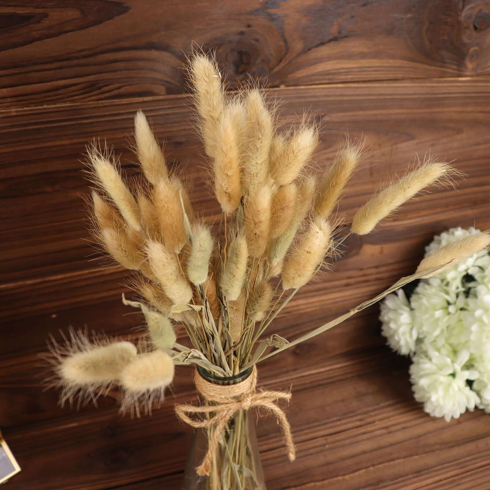 50-Pack Dried Bunny Tail Grass Natural - Rustic Chic Lagurus Ovatus Rabbit Tail Ornamental Grass for Modern Farmhouse Decor Event Styling & Floral Displays 15