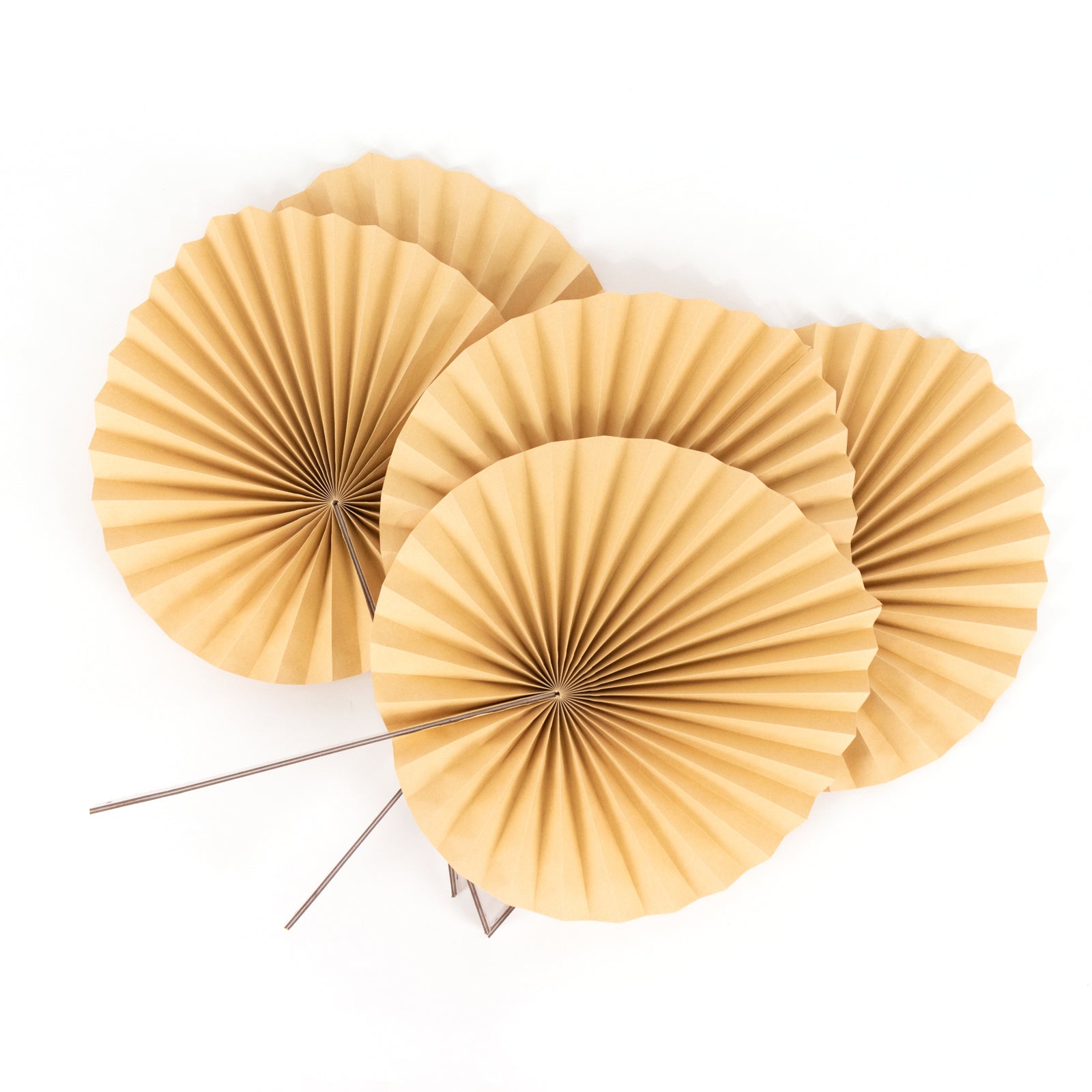 6 Pack Natural Dried Tropical Palm Leaves Paper Fans, 25 Handheld Folding Fans Boho Farmhouse Wall Table Decor