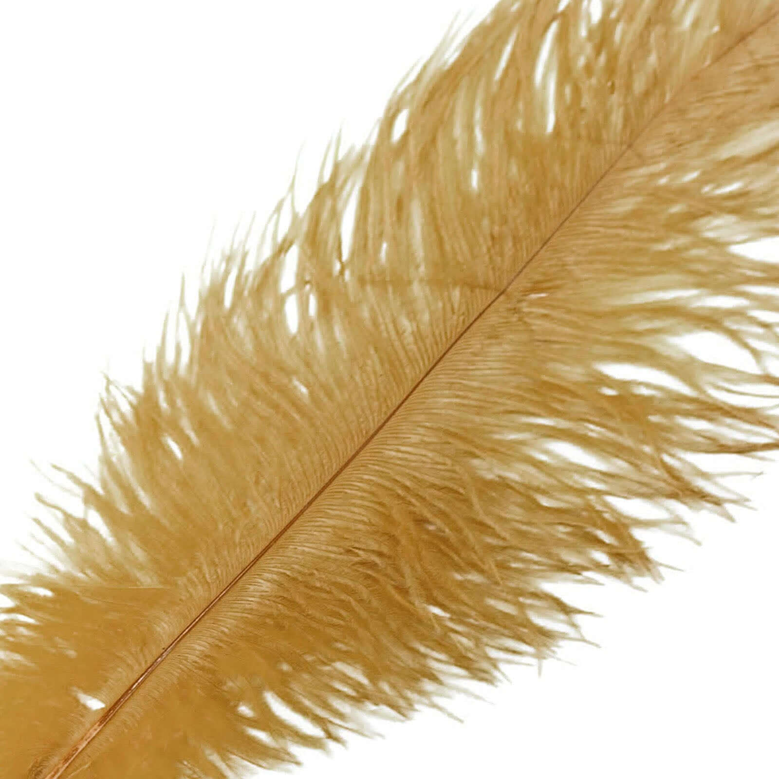 12 Pack 13-15 Gold Natural Plume Real Ostrich Feathers, DIY Centerpiece Fillers