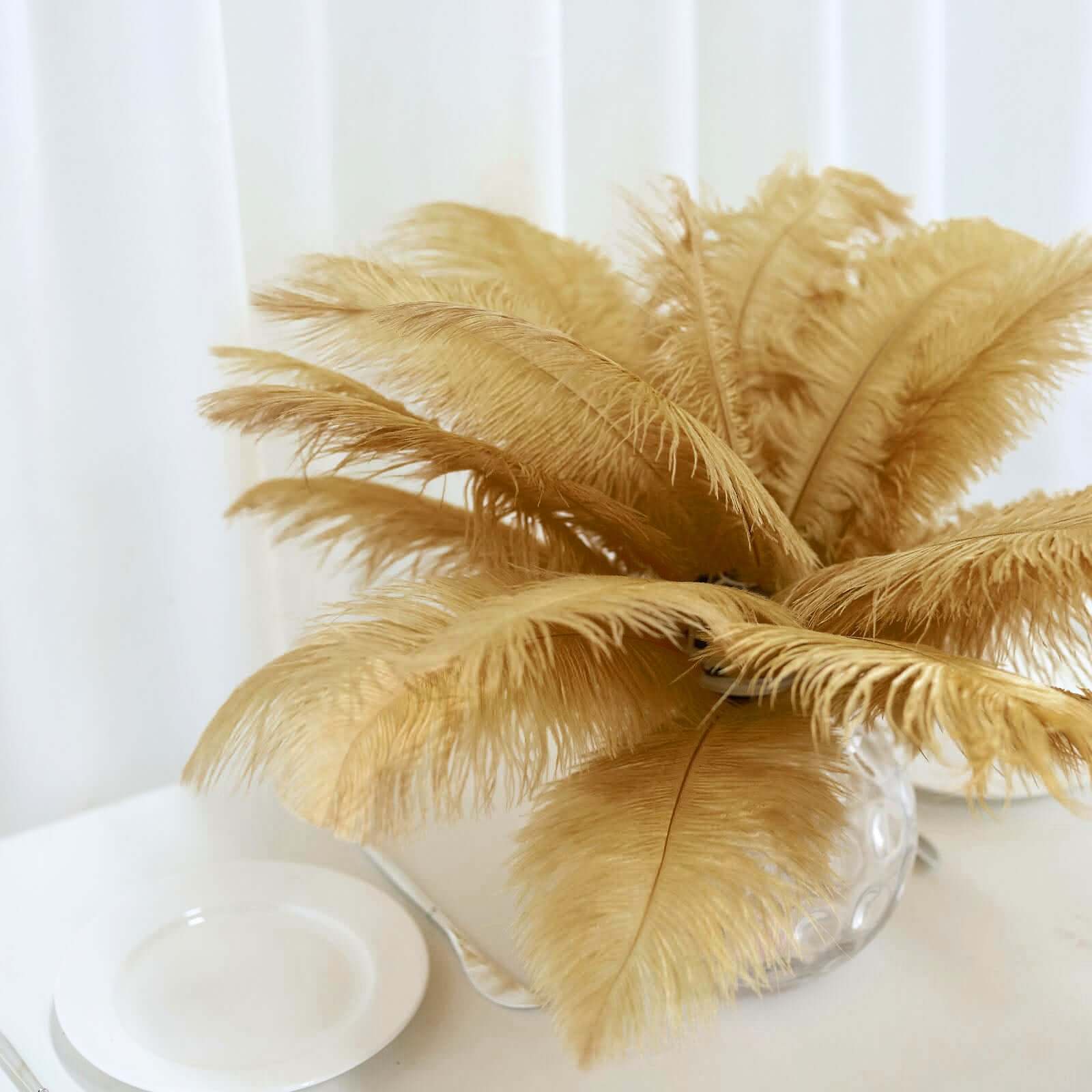 12 Pack 13-15 Gold Natural Plume Real Ostrich Feathers, DIY Centerpiece Fillers