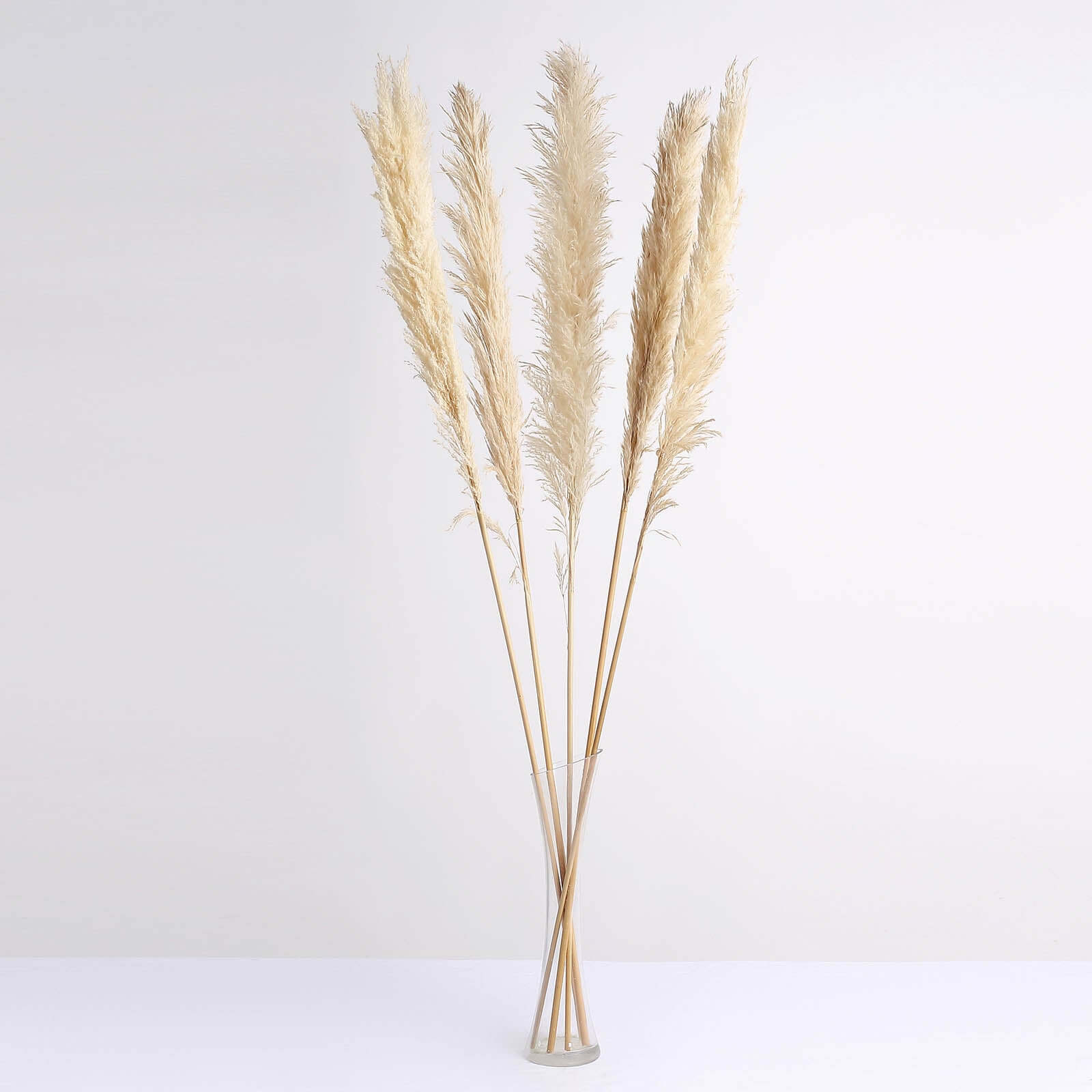 6 Stems Natural Dried Pampas Grass Decor Wheat Tint - Tall Plant Sprays for Boho Chic Vase Displays Backdrops & Event Styling 49