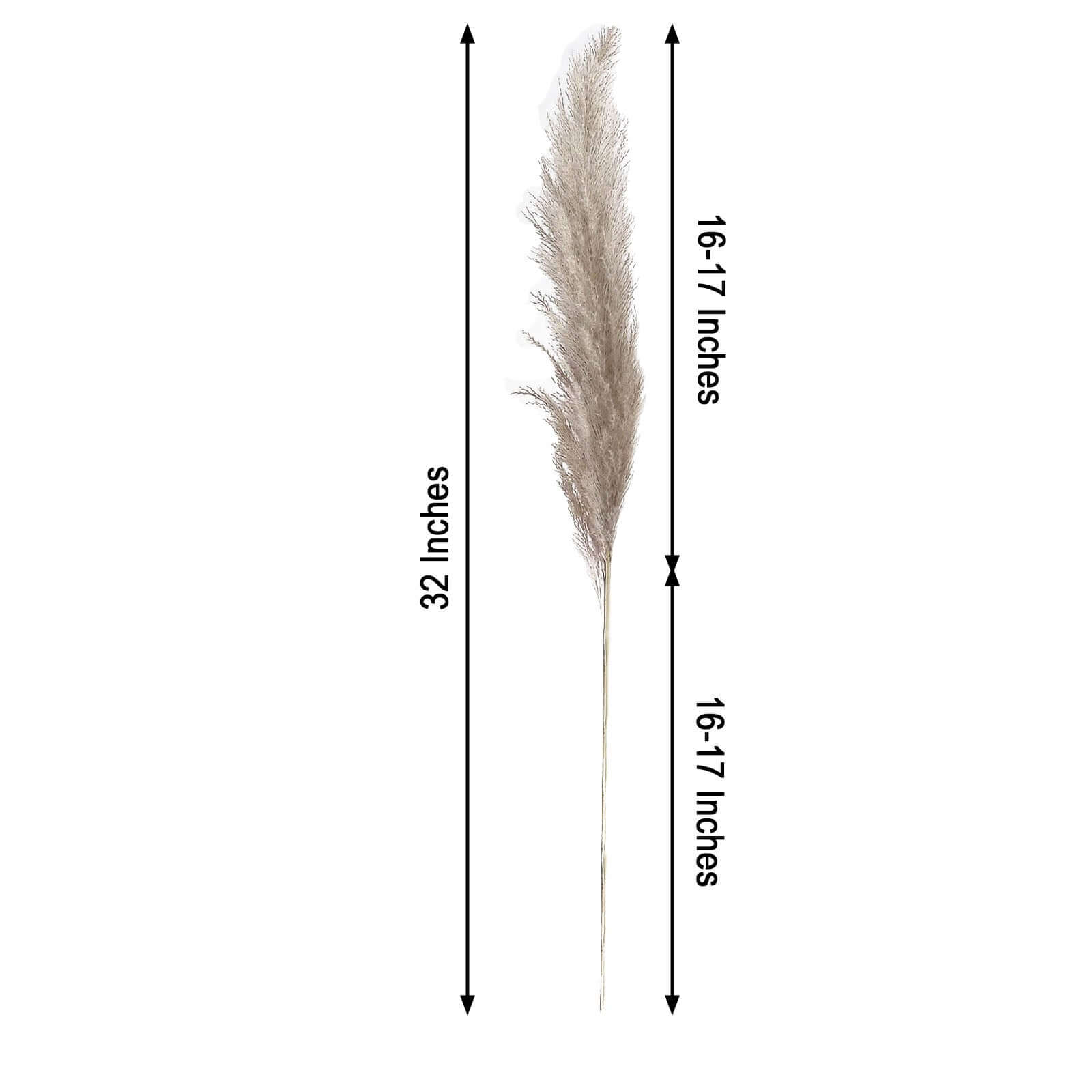 6 Stems Natural Dried Pampas Grass Decor Natural Tint - Versatile Plant Sprays for Boho Chic Vase Displays Backdrops & Event Styling 32