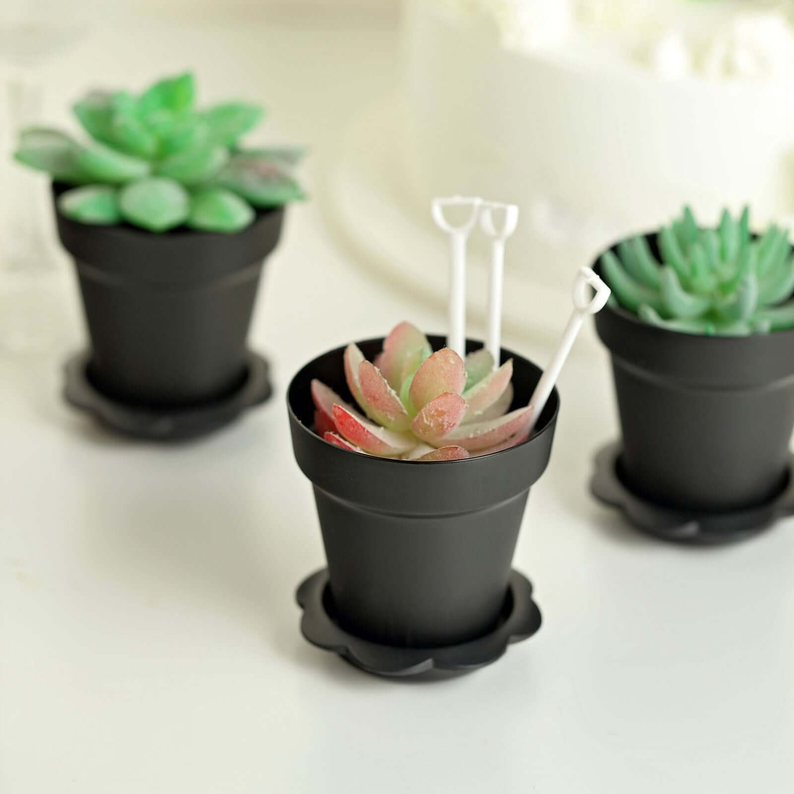 12-Pack Dessert Cups Succulent Planter Design Black - Plastic Serving Cups with Lids and Shovels 4