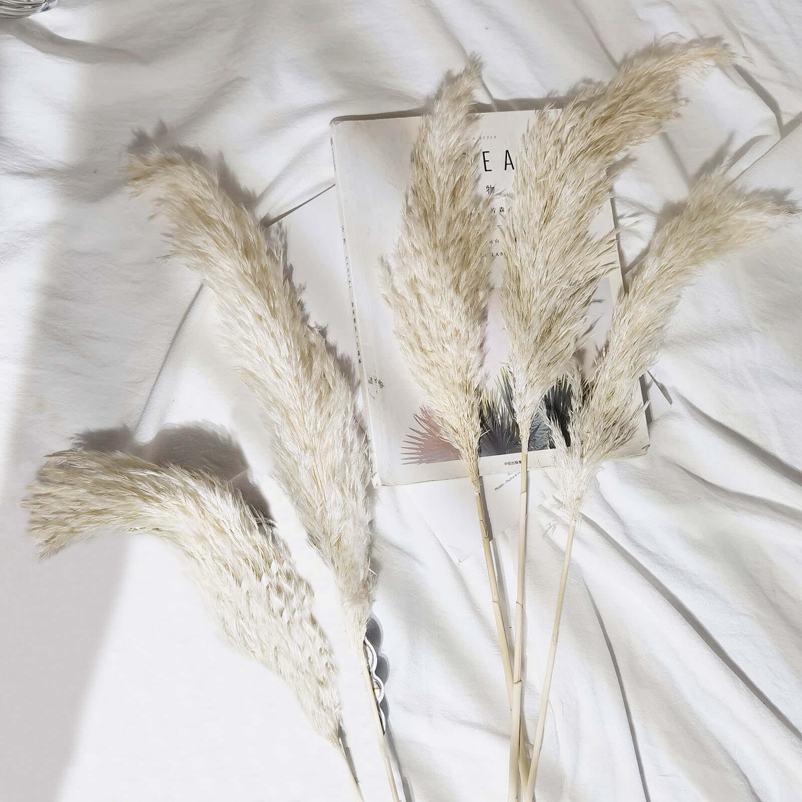 6 Stems Natural Dried Pampas Grass Decor Off White Tint - Versatile Plant Sprays for Boho Chic Vase Displays Backdrops & Event Styling 32