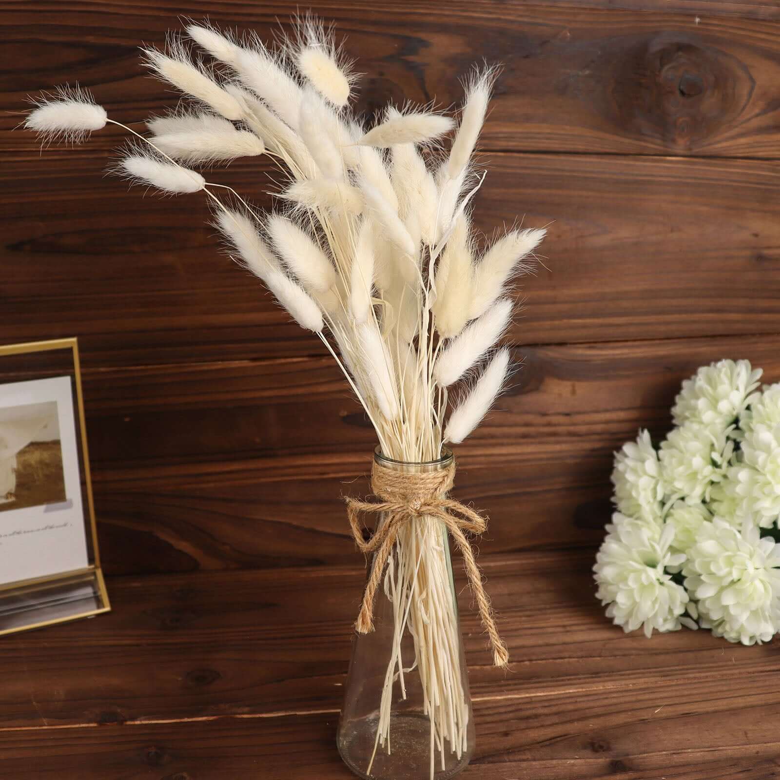 50-Pack Dried Bunny Tail Grass Natural White - Rustic Chic Lagurus Ovatus Rabbit Tail Ornamental Grass for Modern Farmhouse Decor Event Styling & Floral Displays 15