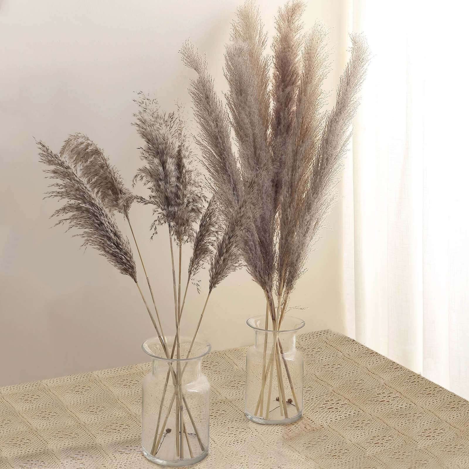 6 Stems Natural Dried Pampas Grass Decor Natural Tint - Versatile Plant Sprays for Boho Chic Vase Displays Backdrops & Event Styling 32