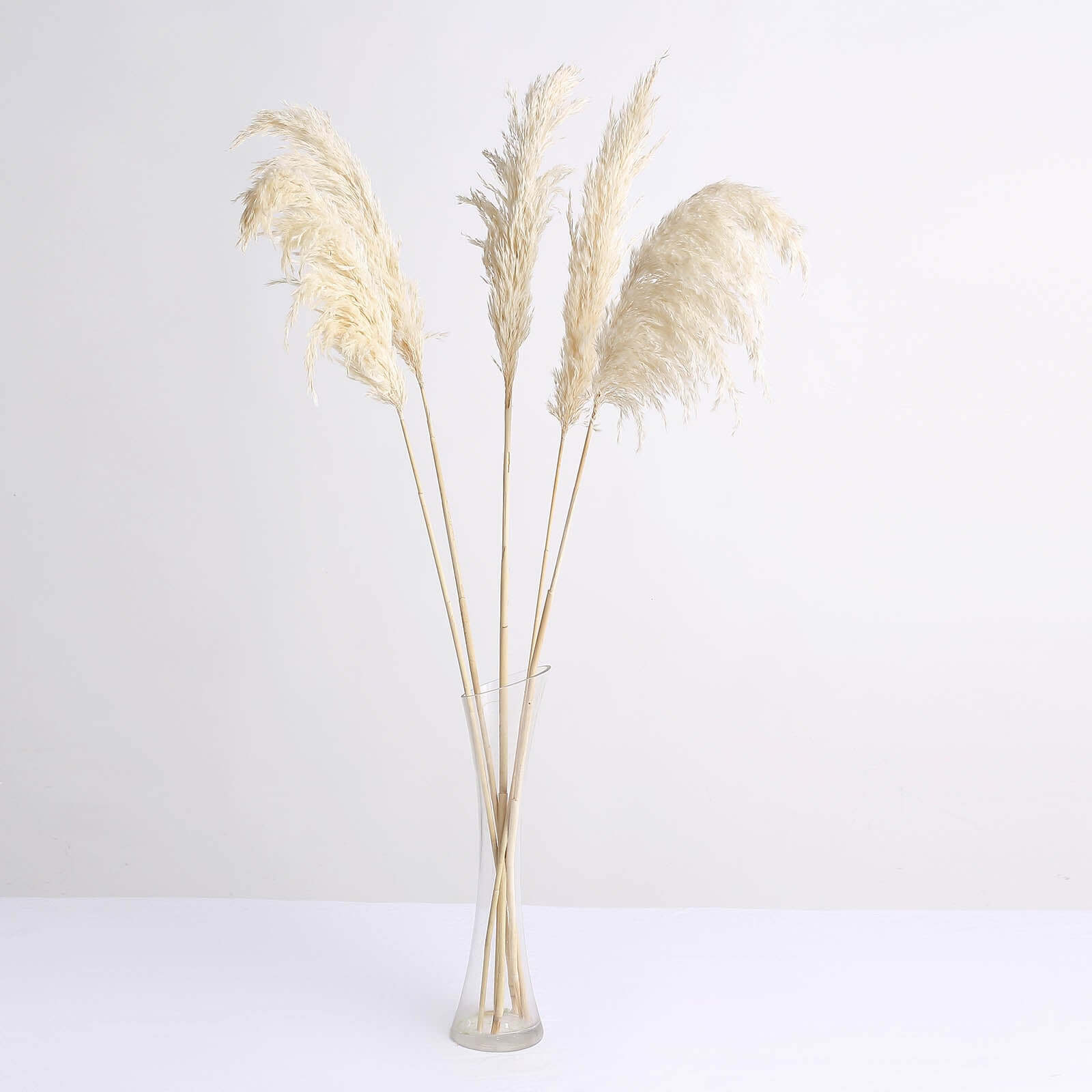 6 Stems Natural Dried Pampas Grass Decor Wheat Tint - Versatile Plant Sprays for Boho Chic Vase Displays Backdrops & Event Styling 32