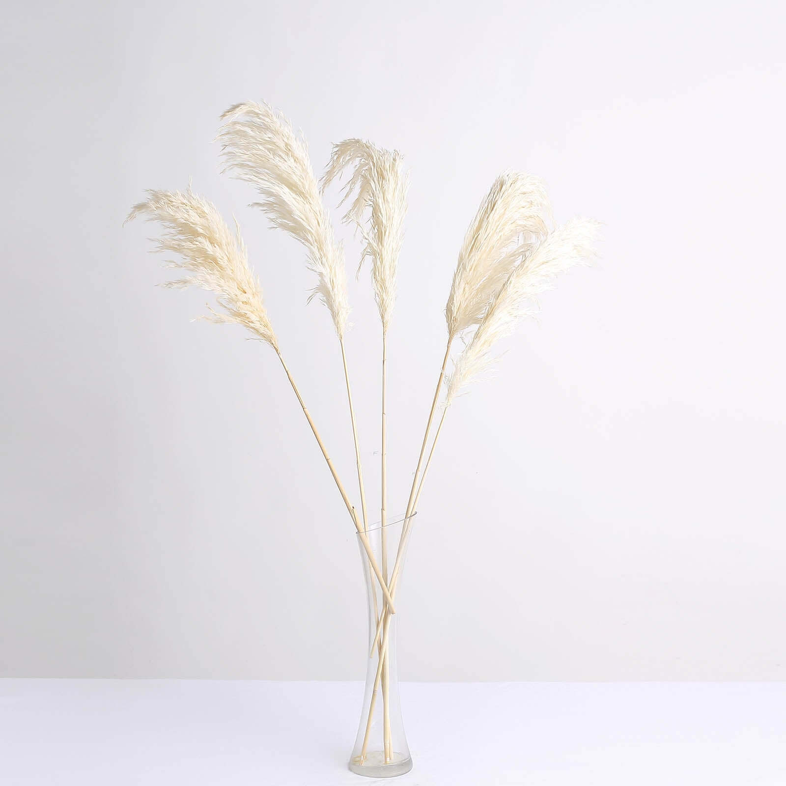 6 Stems Natural Dried Pampas Grass Decor Off White Tint - Versatile Plant Sprays for Boho Chic Vase Displays Backdrops & Event Styling 32