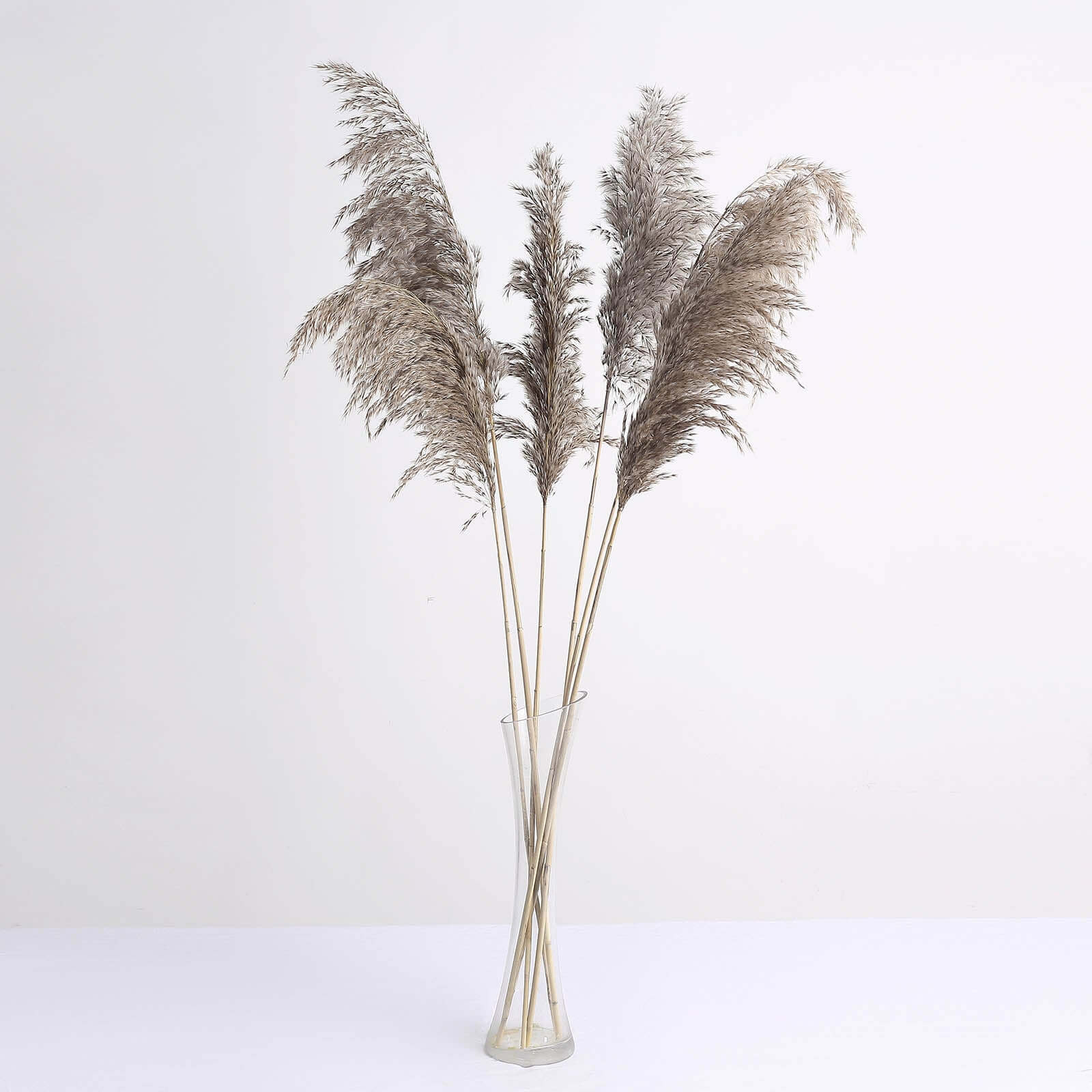 6 Stems Natural Dried Pampas Grass Decor Natural Tint - Versatile Plant Sprays for Boho Chic Vase Displays Backdrops & Event Styling 32