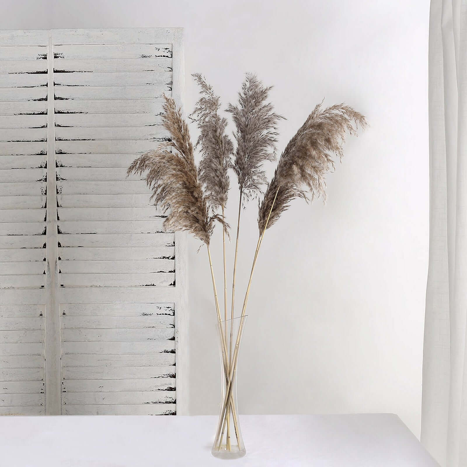 6 Stems Natural Dried Pampas Grass Decor Natural Tint - Versatile Plant Sprays for Boho Chic Vase Displays Backdrops & Event Styling 32