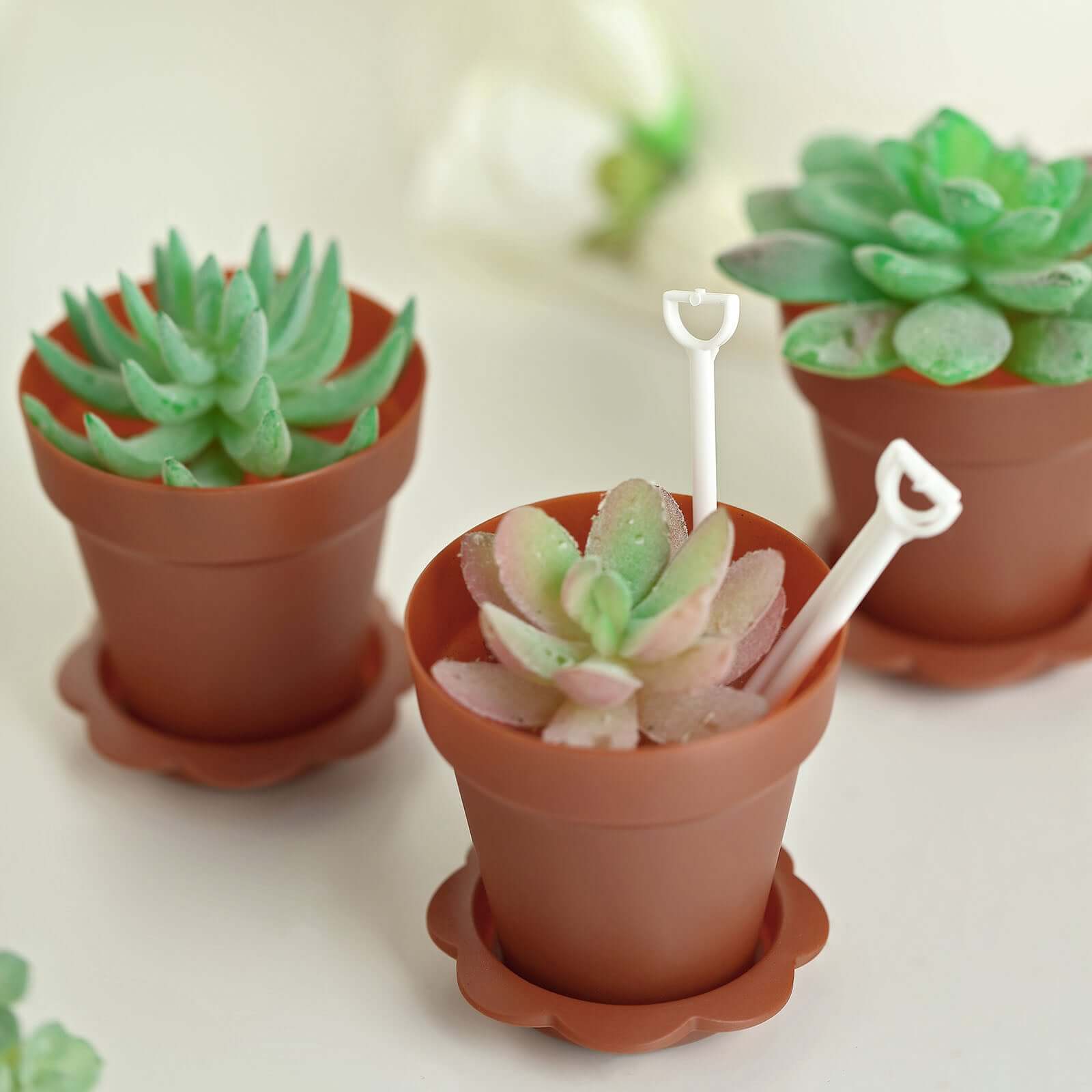 12-Pack Dessert Cups Succulent Planter Design Terracotta (Rust) - Plastic Serving Cups with Lids and Shovels 4