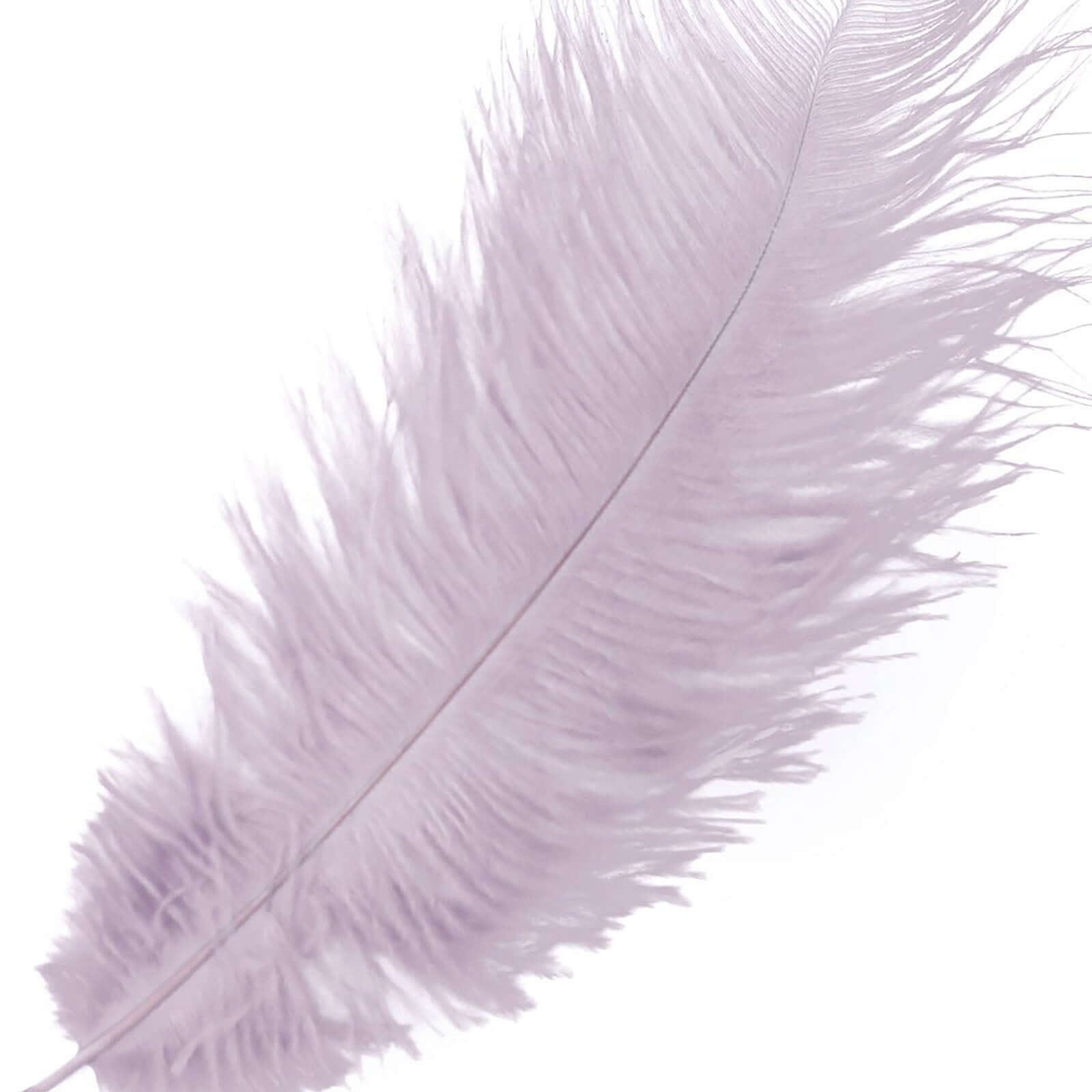 12 Pack 13-15 Violet Amethyst Natural Plume Real Ostrich Feathers, DIY Centerpiece Fillers