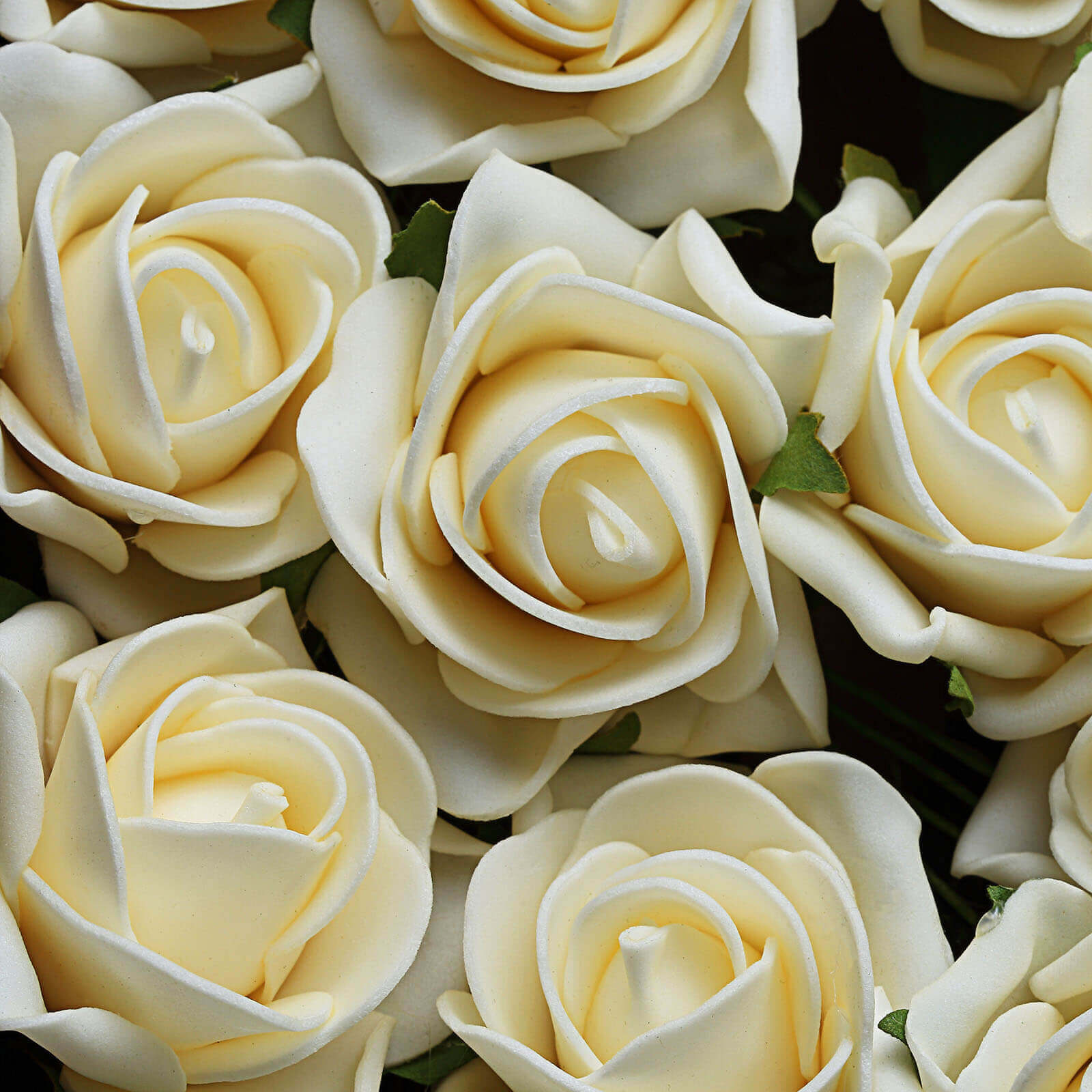 24 Roses 2 Cream Artificial Foam Flowers With Stem Wire and Leaves