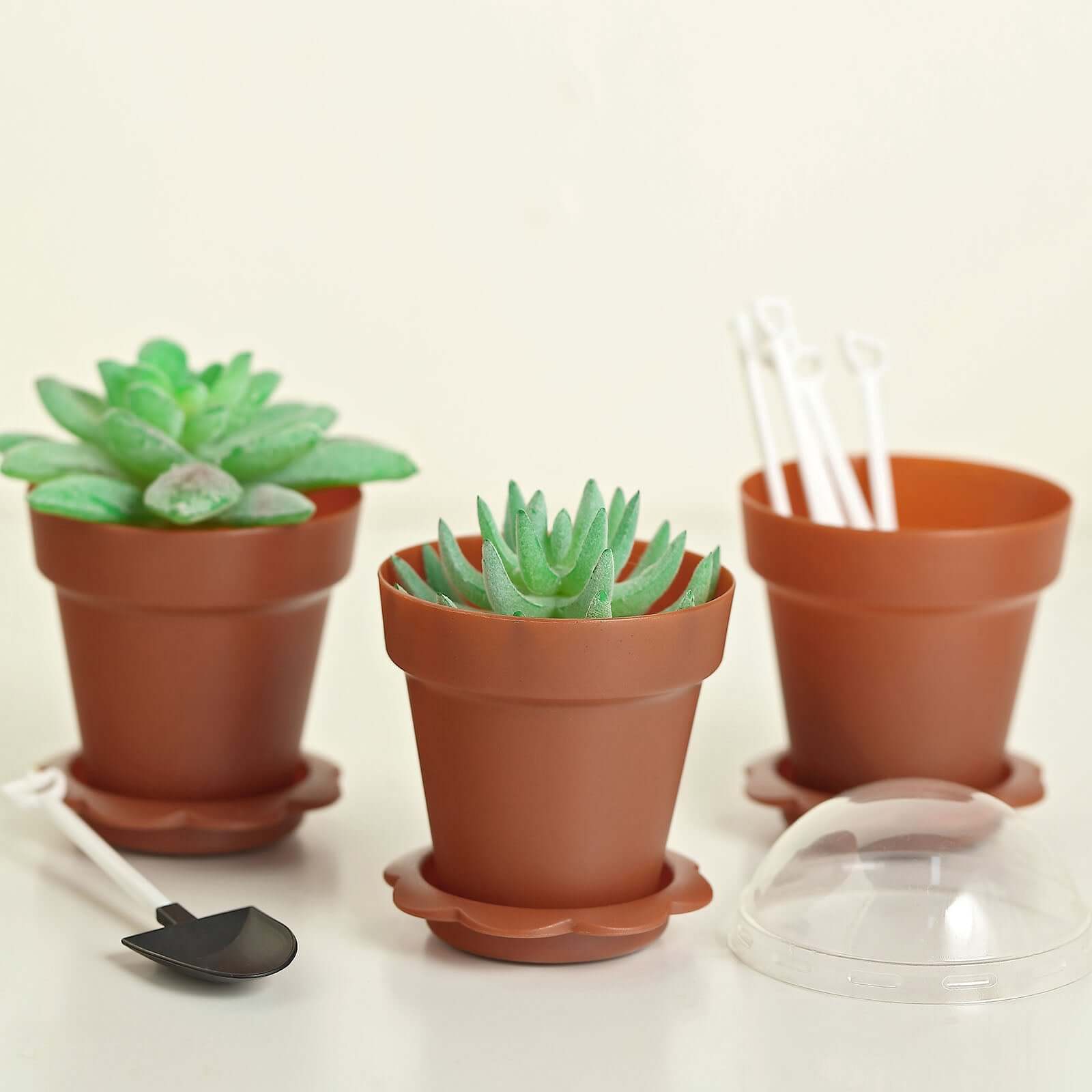 12-Pack Dessert Cups Succulent Planter Design Terracotta (Rust) - Plastic Serving Cups with Lids and Shovels 4