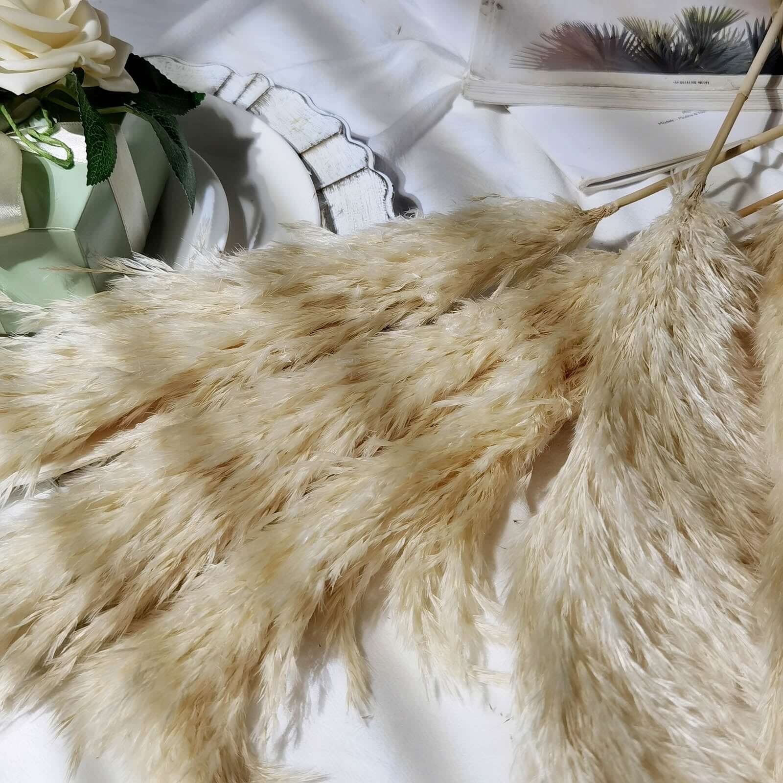 6 Stems Natural Dried Pampas Grass Decor Wheat Tint - Versatile Plant Sprays for Boho Chic Vase Displays Backdrops & Event Styling 32