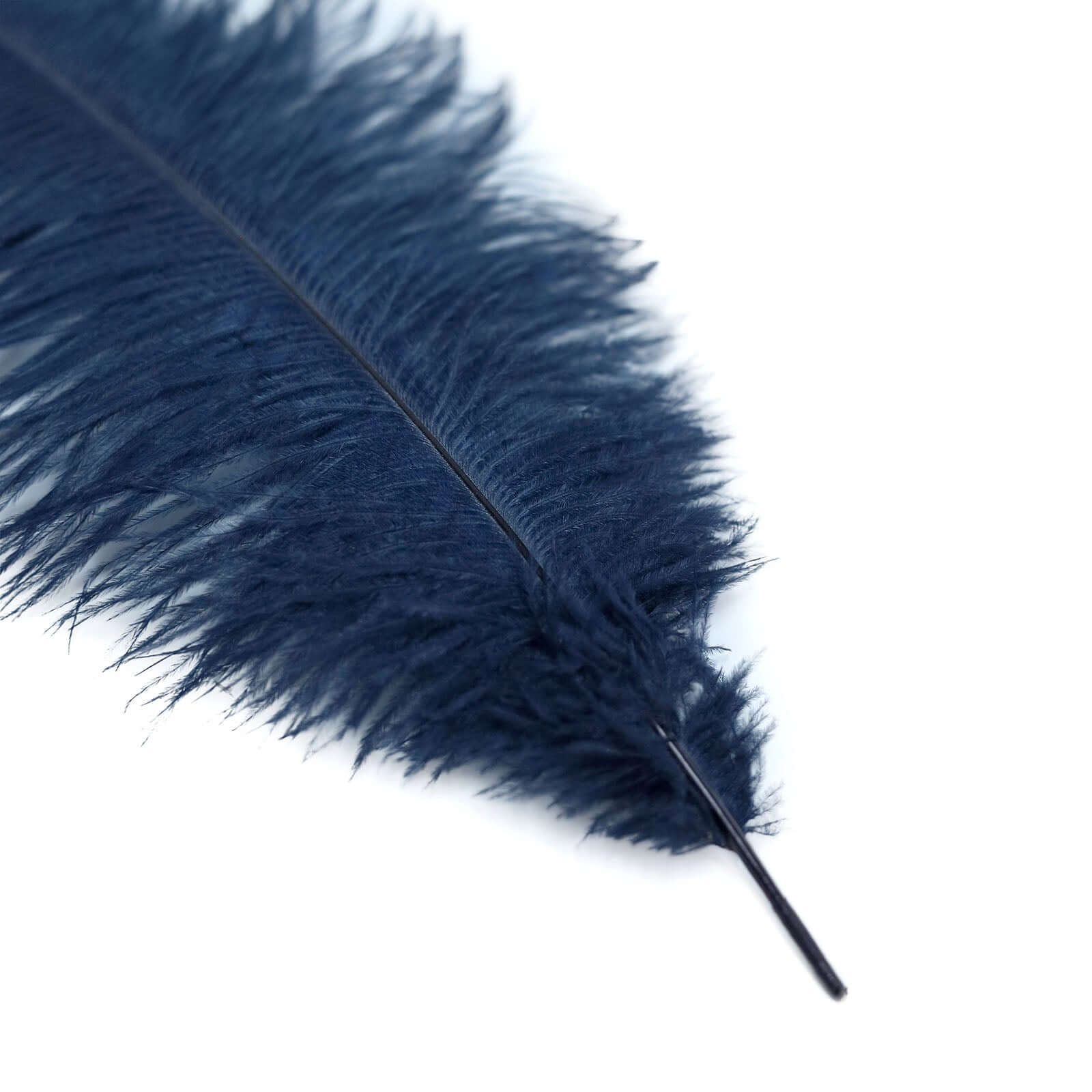 12 Pack 13-15 Navy Blue Natural Plume Real Ostrich Feathers, DIY Centerpiece Fillers