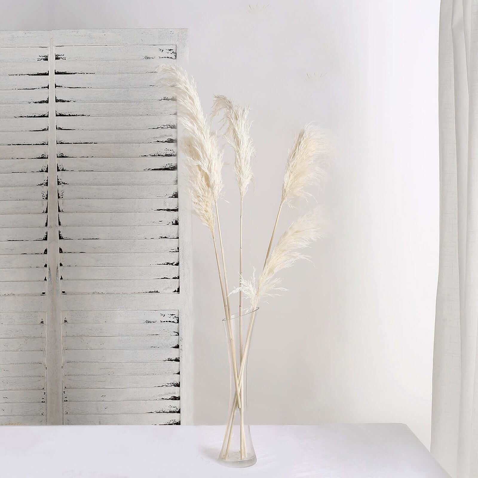 6 Stems Natural Dried Pampas Grass Decor Off White Tint - Versatile Plant Sprays for Boho Chic Vase Displays Backdrops & Event Styling 32