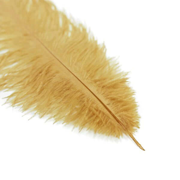 12 Pack 13-15 Gold Natural Plume Real Ostrich Feathers, DIY Centerpiece Fillers