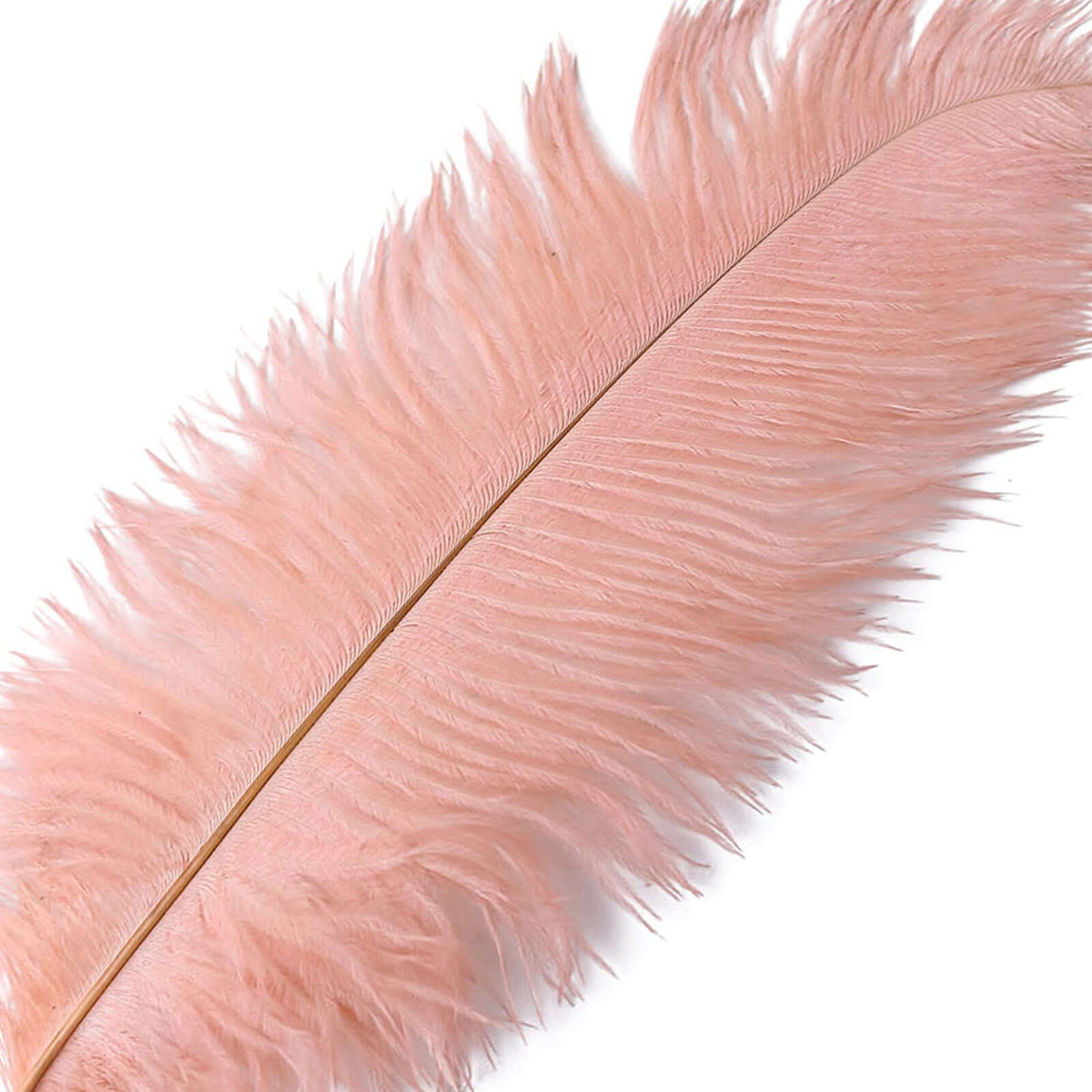 12 Pack 13-15 Mauve Natural Plume Real Ostrich Feathers, DIY Centerpiece Fillers