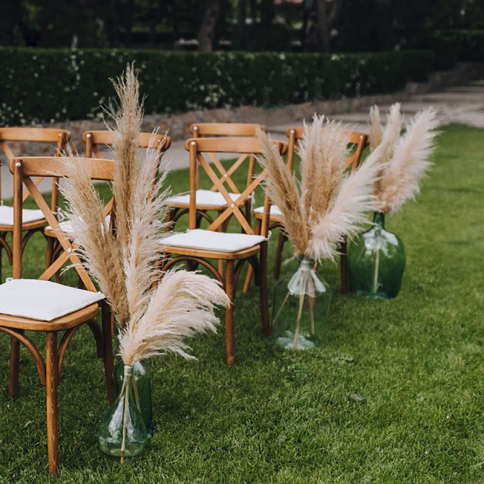 6 Stems Natural Dried Pampas Grass Decor Off White Tint - Versatile Plant Sprays for Boho Chic Vase Displays Backdrops & Event Styling 32