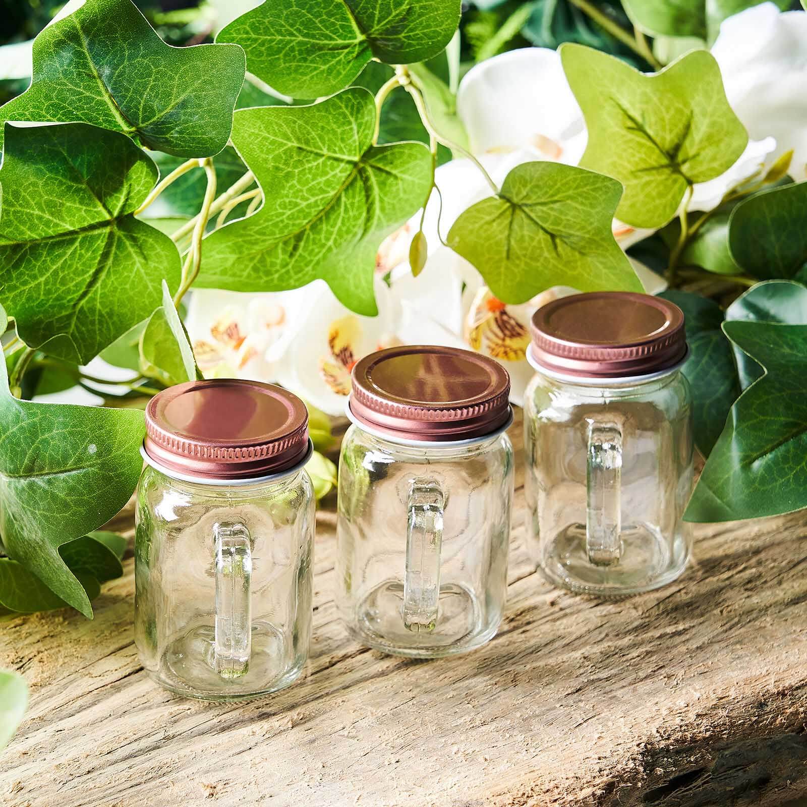 4-Pack Glass Mason Jars Rustic Design Clear with Handles and Rose Gold Screw-On Lids - Trendy Containers for Drinks & Events 4oz