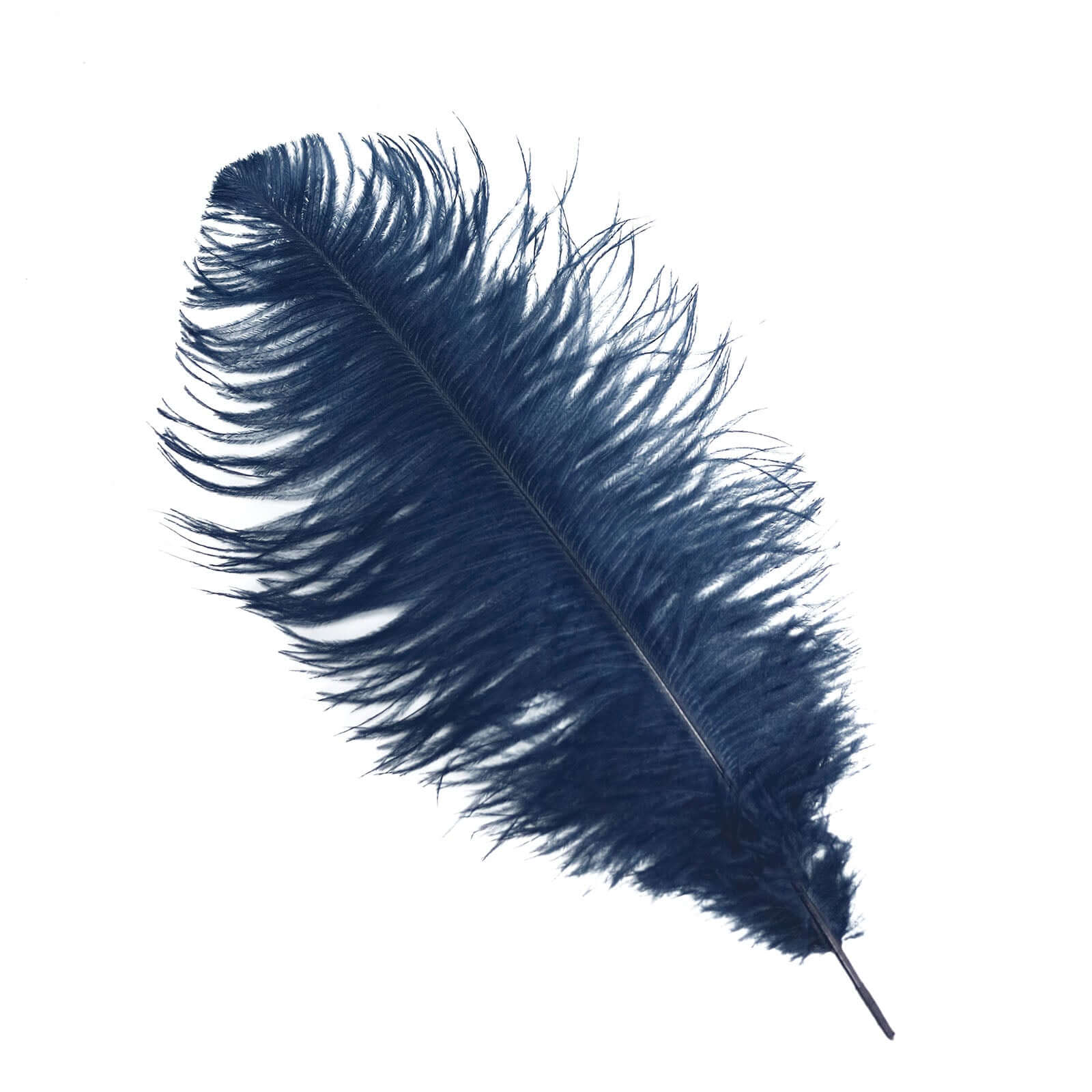 12 Pack 13-15 Navy Blue Natural Plume Real Ostrich Feathers, DIY Centerpiece Fillers