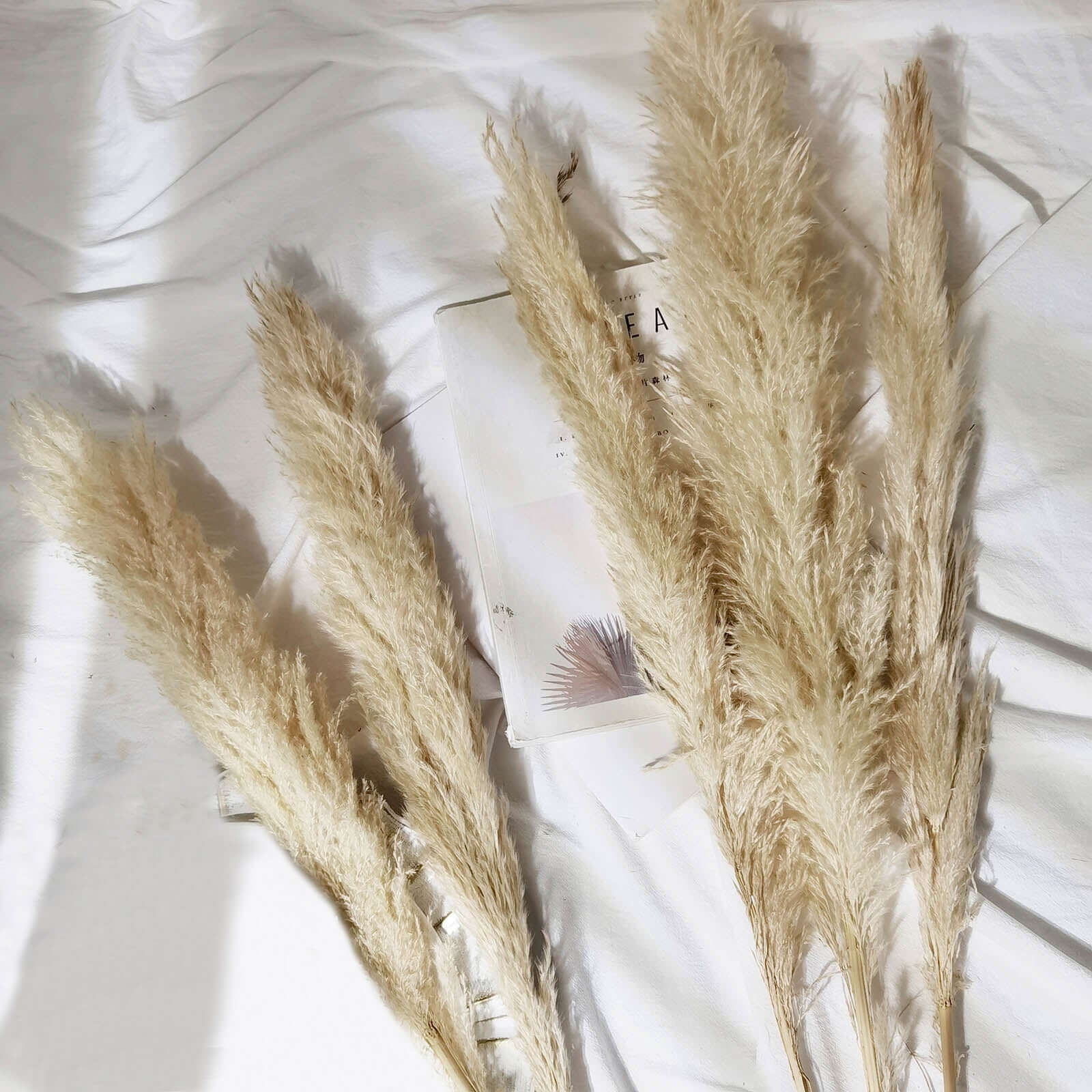 6 Stems Natural Dried Pampas Grass Decor Wheat Tint - Tall Plant Sprays for Boho Chic Vase Displays Backdrops & Event Styling 49