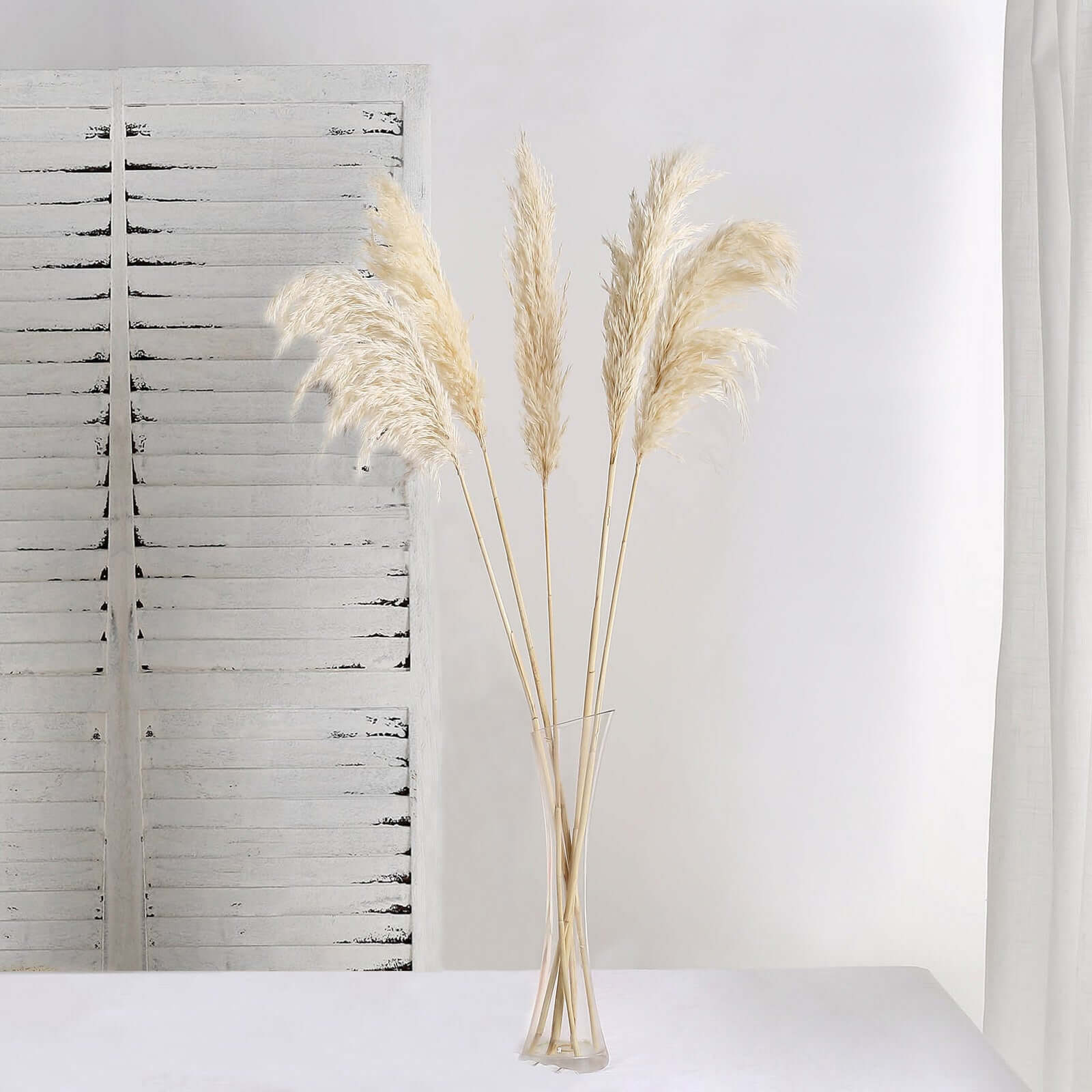 6 Stems Natural Dried Pampas Grass Decor Wheat Tint - Versatile Plant Sprays for Boho Chic Vase Displays Backdrops & Event Styling 32