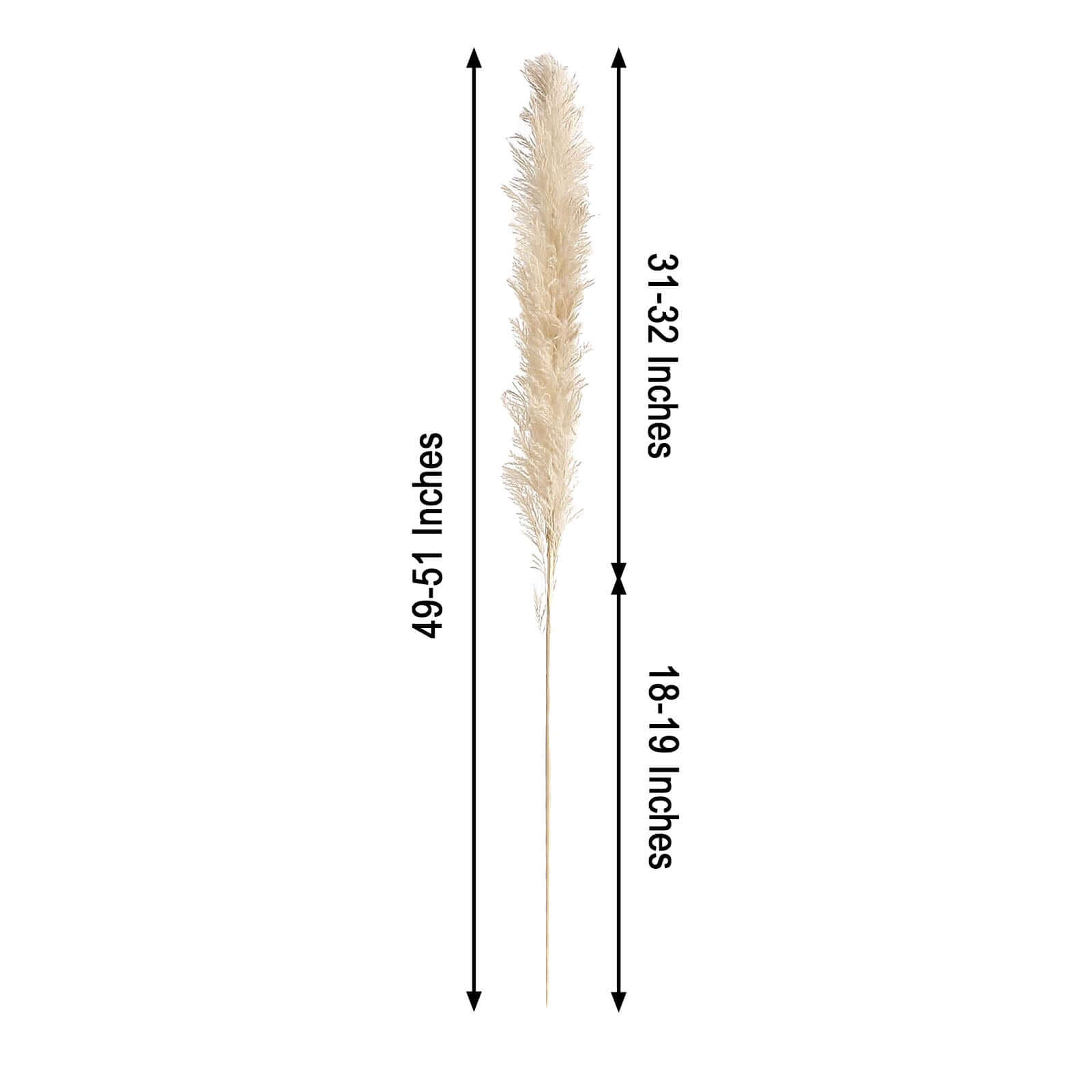 6 Stems Natural Dried Pampas Grass Decor Wheat Tint - Tall Plant Sprays for Boho Chic Vase Displays Backdrops & Event Styling 49