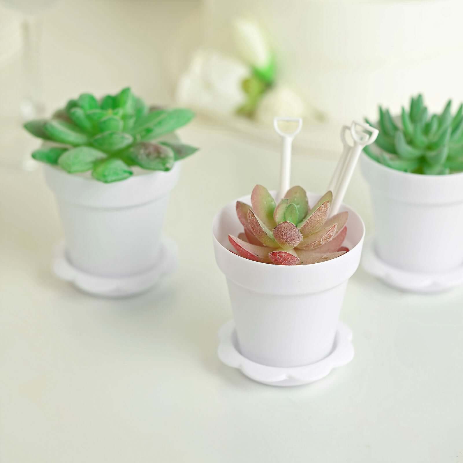 12-Pack Dessert Cups Succulent Planter Design White - Plastic Serving Cups with Lids and Shovels 4