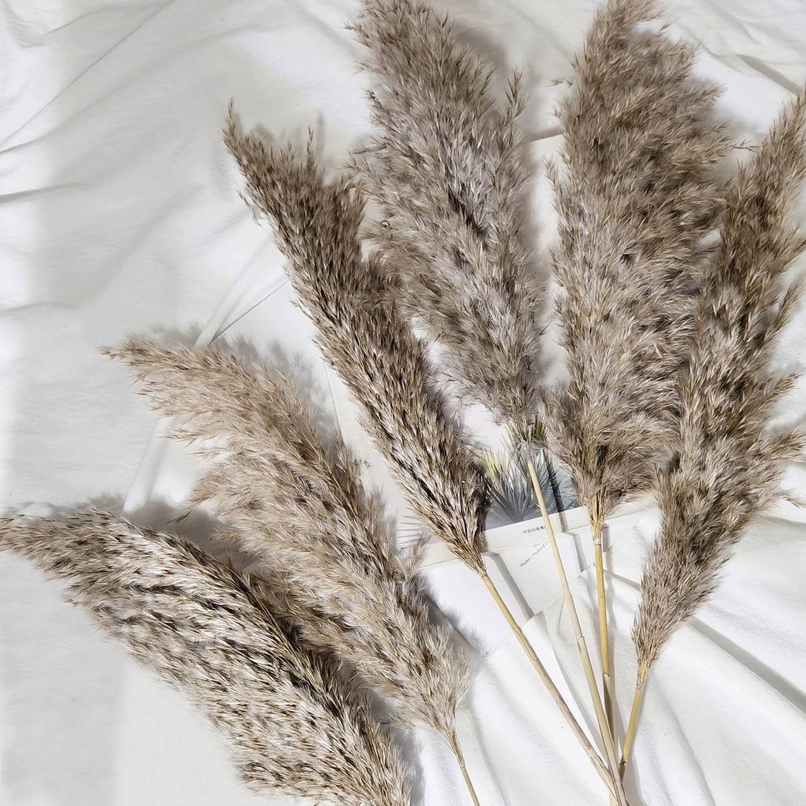 6 Stems Natural Dried Pampas Grass Decor Natural Tint - Versatile Plant Sprays for Boho Chic Vase Displays Backdrops & Event Styling 32