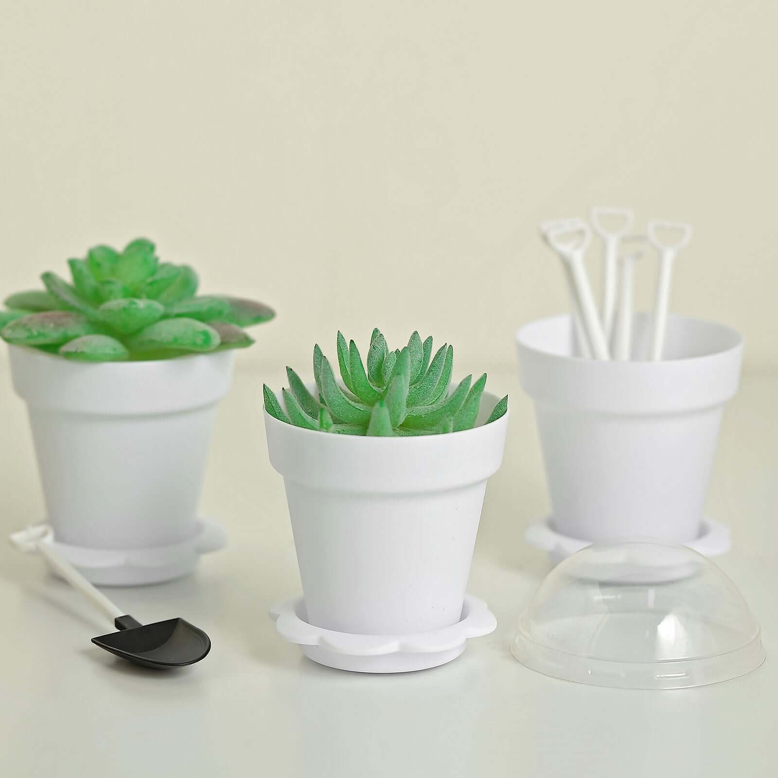 12-Pack Dessert Cups Succulent Planter Design White - Plastic Serving Cups with Lids and Shovels 4