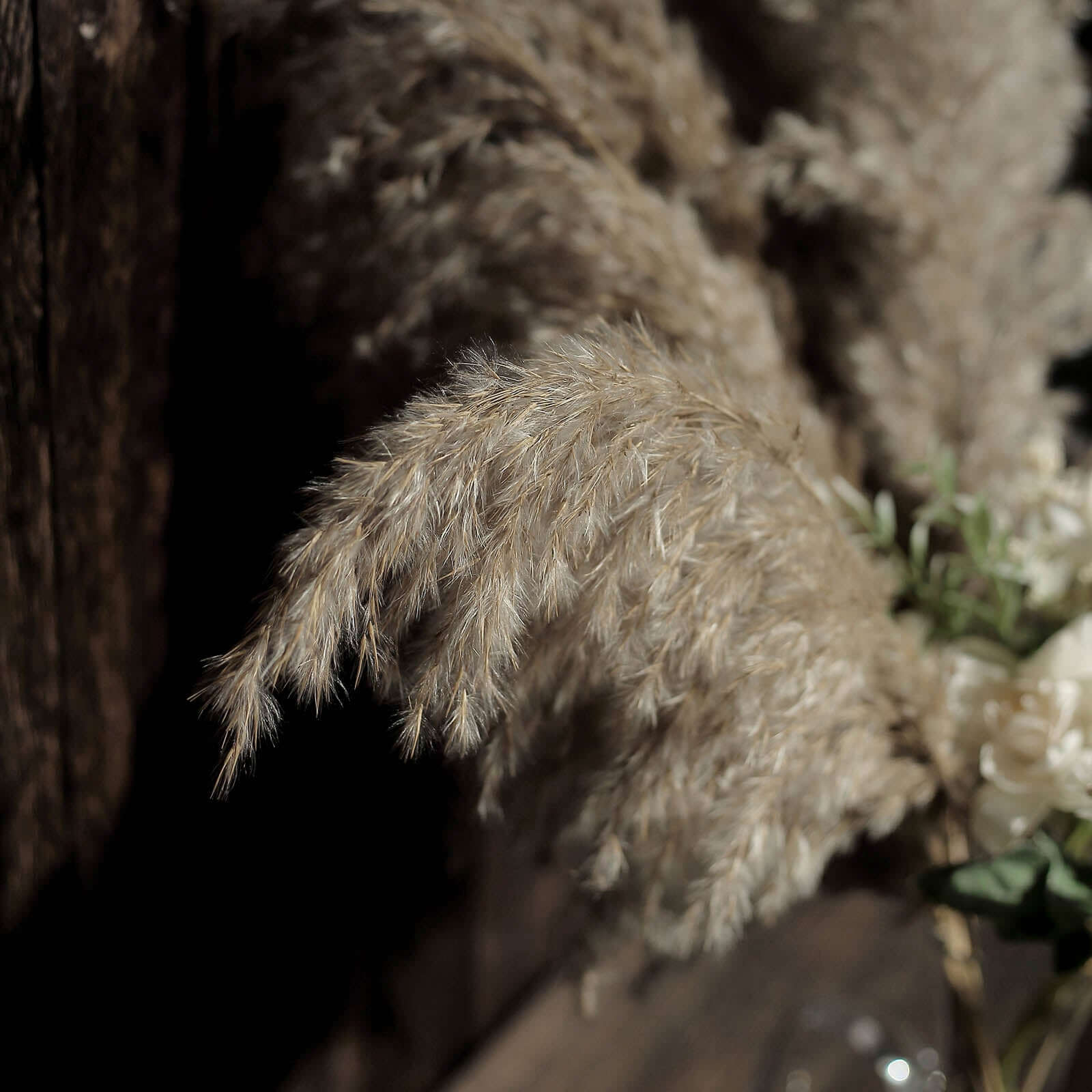 6 Stems Natural Dried Pampas Grass Decor Natural Tint - Versatile Plant Sprays for Boho Chic Vase Displays Backdrops & Event Styling 32