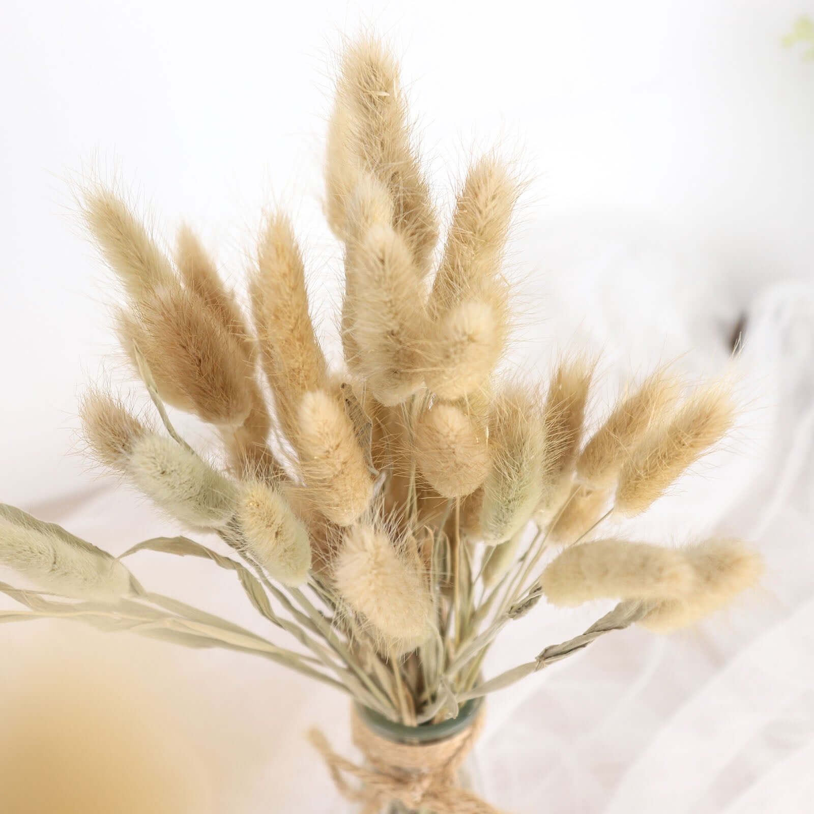 50-Pack Dried Bunny Tail Grass Natural - Rustic Chic Lagurus Ovatus Rabbit Tail Ornamental Grass for Modern Farmhouse Decor Event Styling & Floral Displays 15