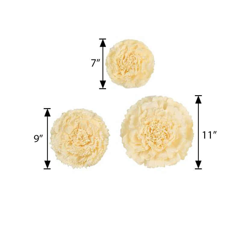 Set of 6 Ivory Cream Carnation 3D Paper Flowers Wall Decor - 7,9,11