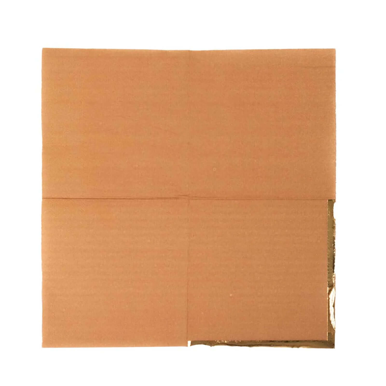 50-Pack Paper Beverage Napkins Terracotta (Rust) with Gold Foil Edge - 2 Ply Disposable Soft 18GSM Cocktail Napkins 5x5