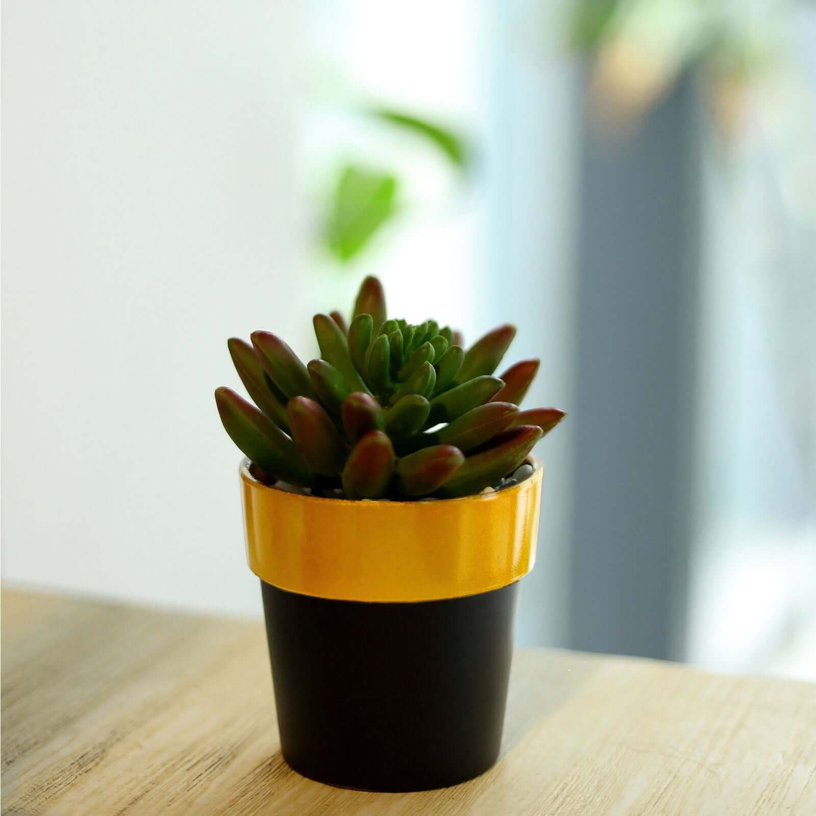 3-Pack Flower Plant Pots Small Design Black with Gold Rim - Plastic Indoor Decorative Planters 3