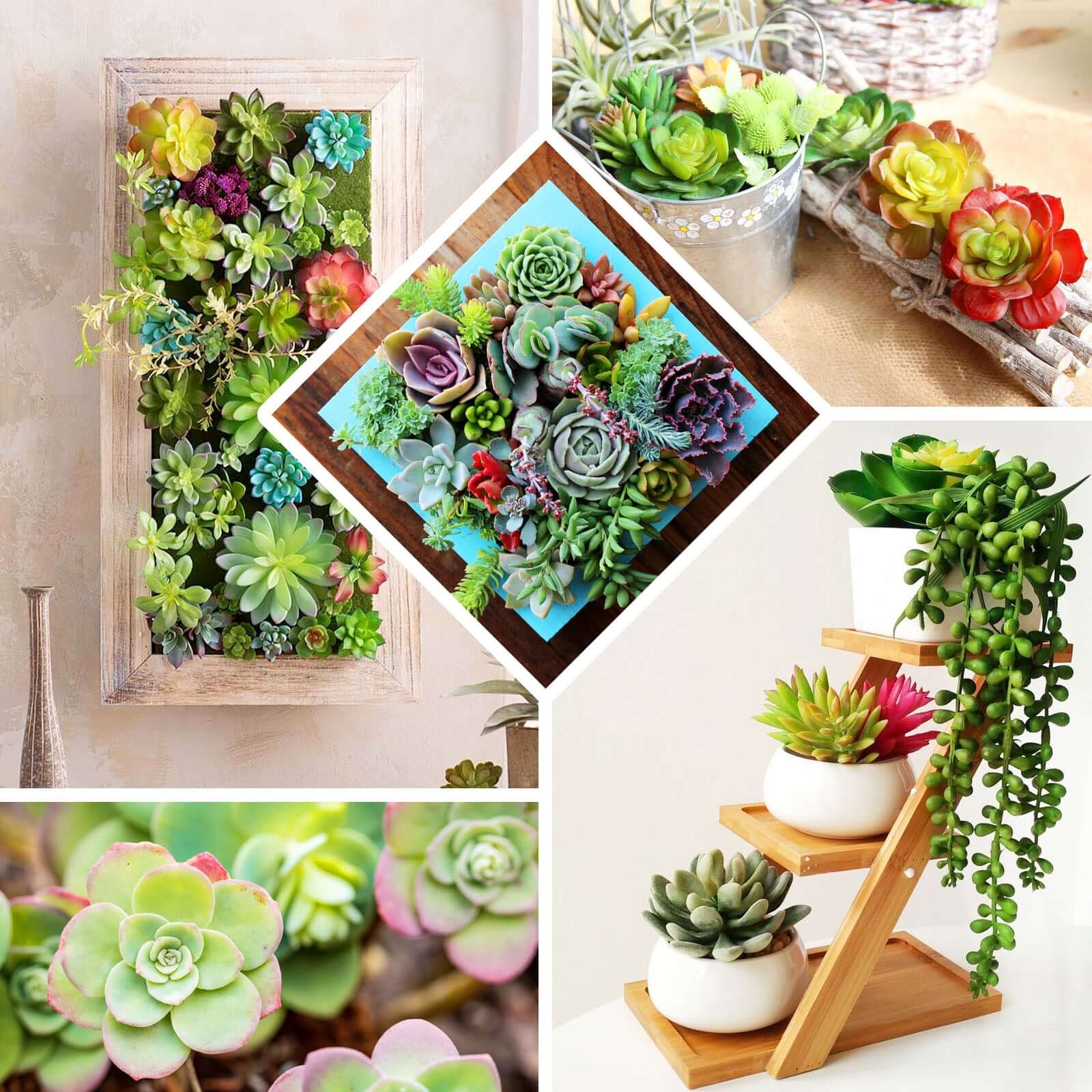 3 Pack 6 Artificial PVC Wavy Kalanchoe Decorative Succulent Plants