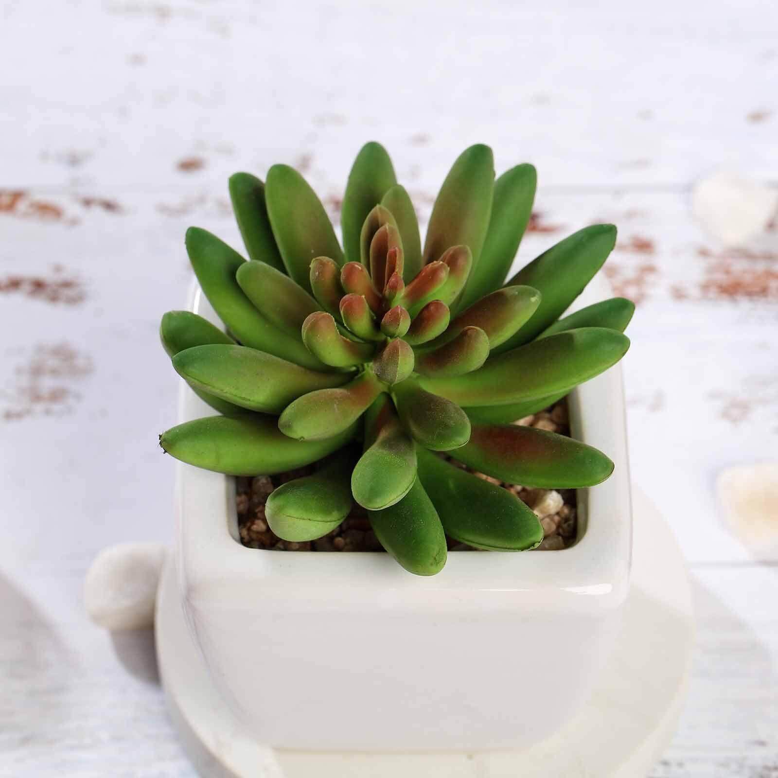 3-Pack Lotus Artificial Succulents in Ceramic Pot - Lifelike Decorative Faux Plants for Home Office & Event Design 4