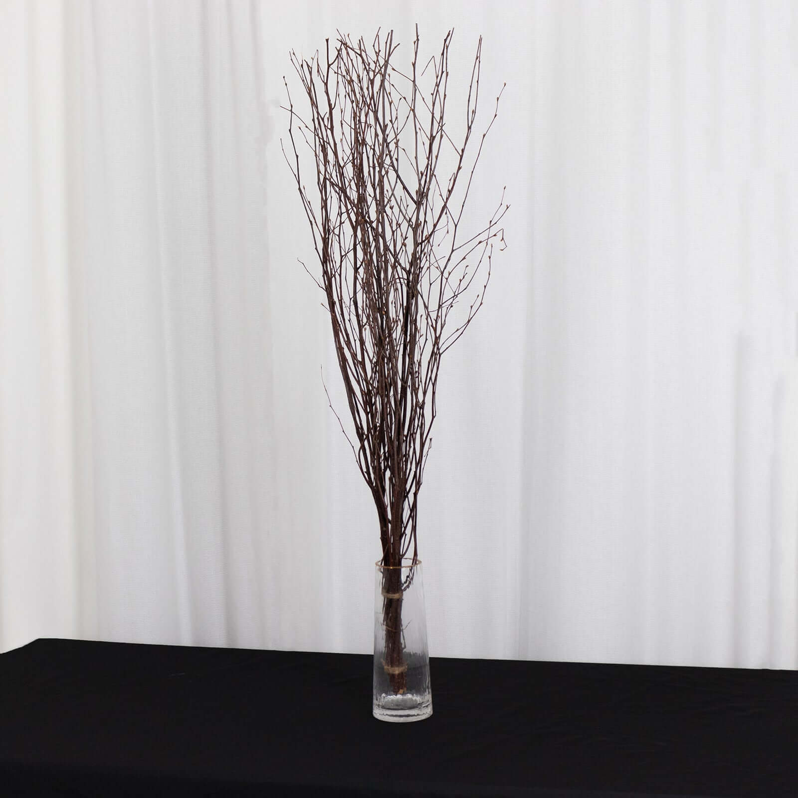 6-Pack Natural Birch Tree Branches 46 Natural - Versatile Extra Long Decorative Dried Willow Twigs Sticks for Vase Centerpiece Wedding Decor